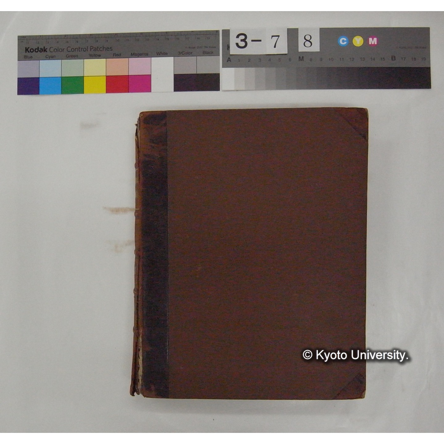 Vergleichende Physiologie (Band11: Sinnersorgane) (比較生理学 巻11 感覚器官) [翻訳ノート製本か] (2)