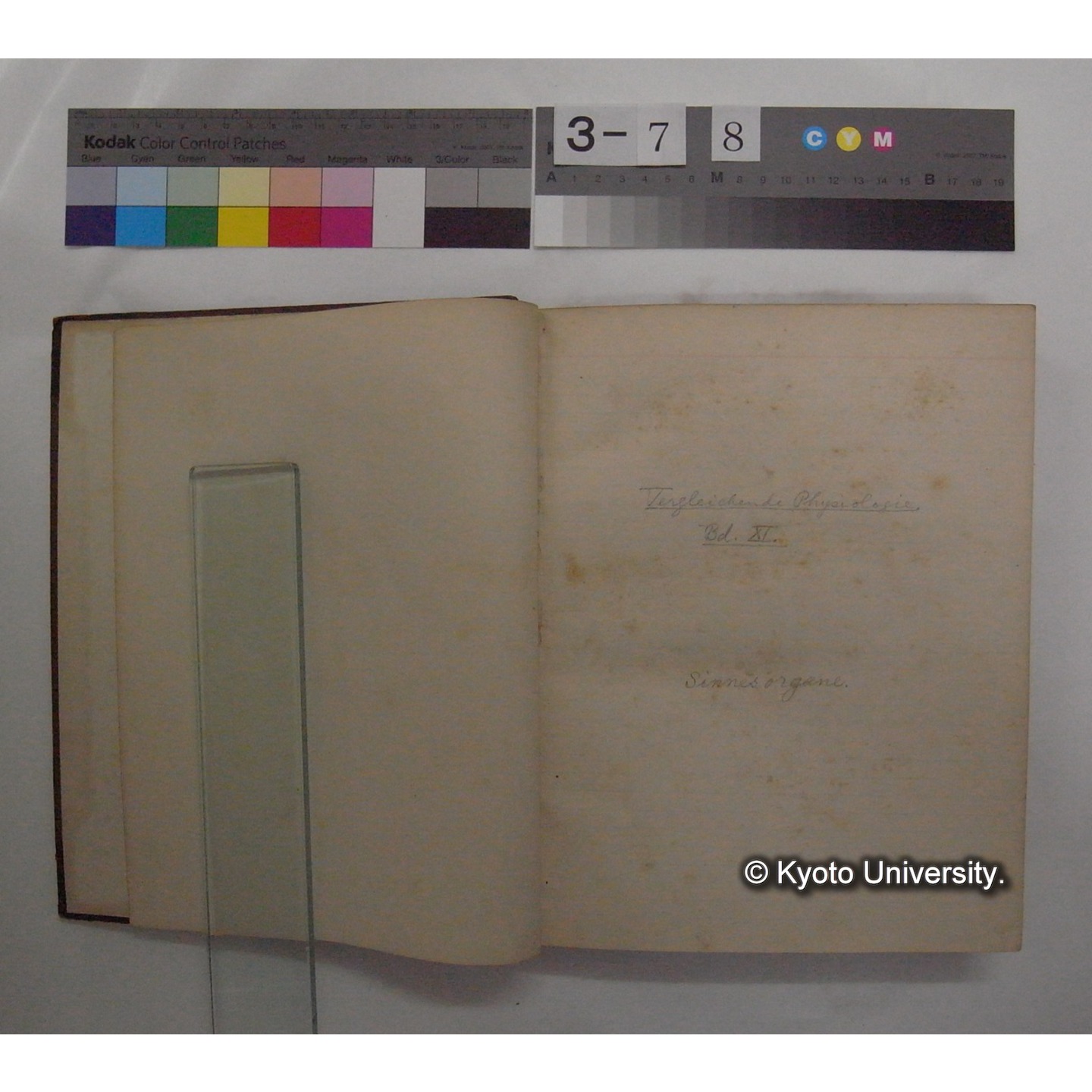 Vergleichende Physiologie (Band11: Sinnersorgane) (比較生理学 巻11 感覚器官) [翻訳ノート製本か] (4)