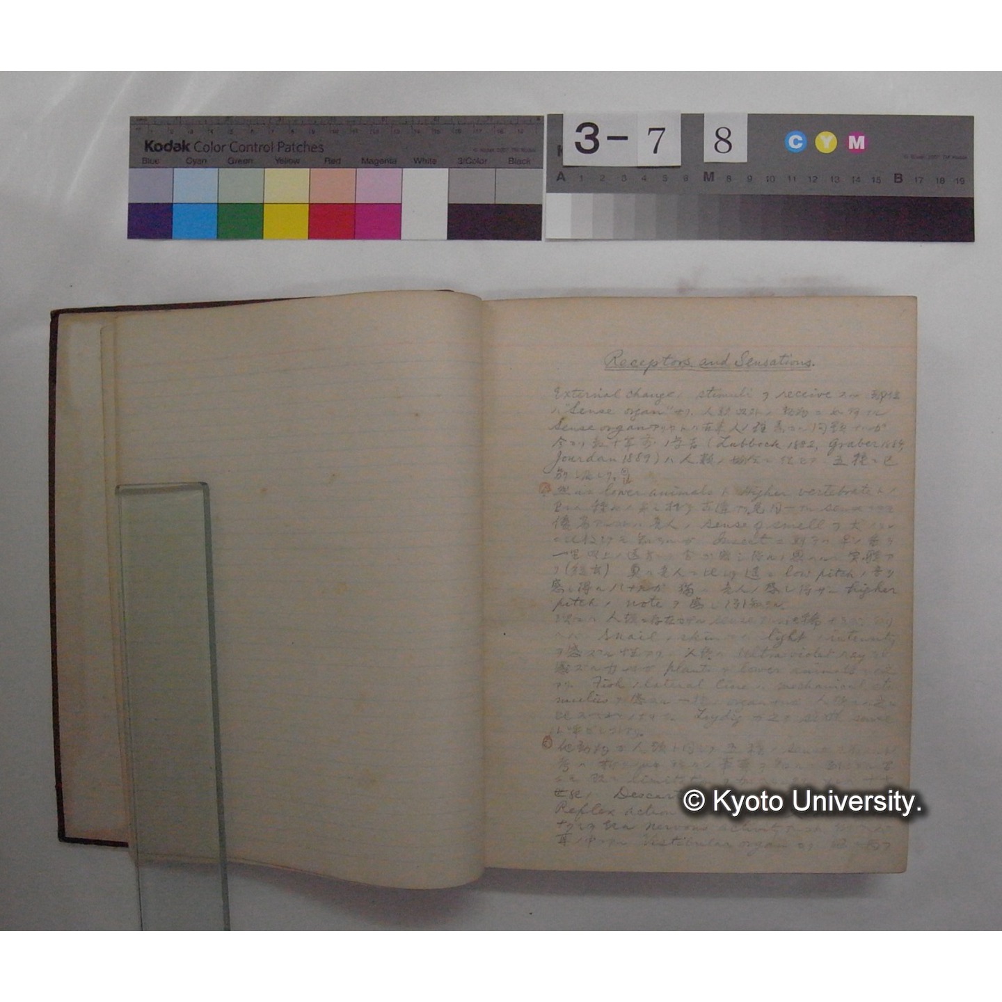 Vergleichende Physiologie (Band11: Sinnersorgane) (比較生理学 巻11 感覚器官) [翻訳ノート製本か] (5)