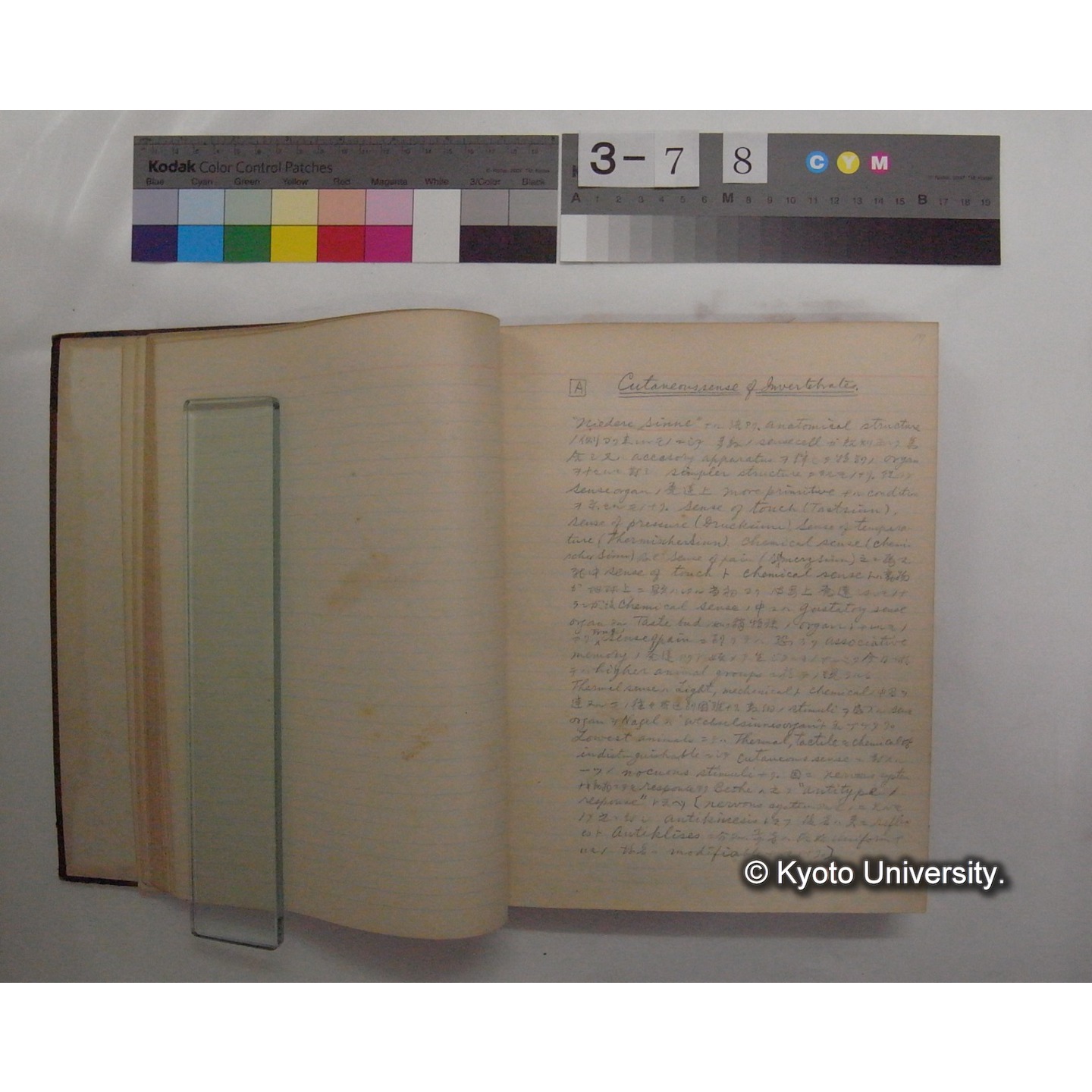 Vergleichende Physiologie (Band11: Sinnersorgane) (比較生理学 巻11 感覚器官) [翻訳ノート製本か] (6)