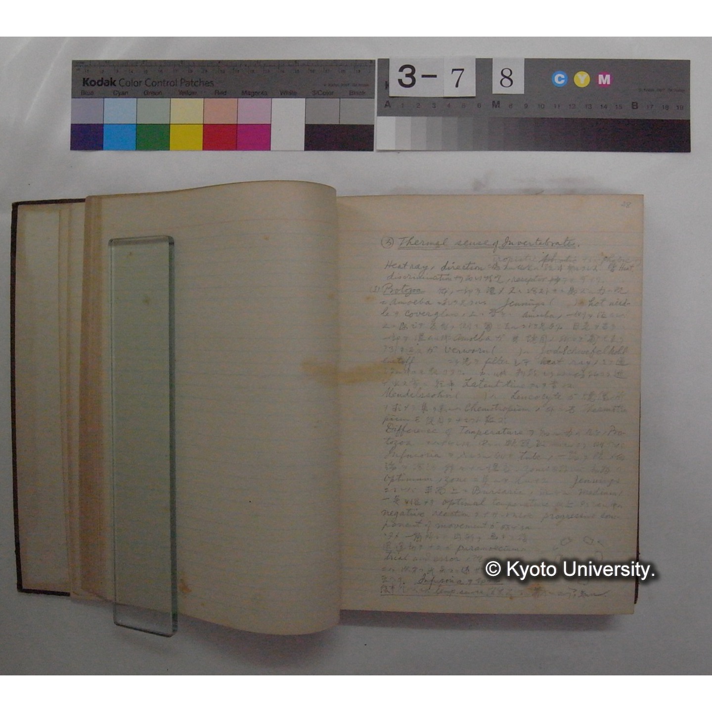 Vergleichende Physiologie (Band11: Sinnersorgane) (比較生理学 巻11 感覚器官) [翻訳ノート製本か] (9)