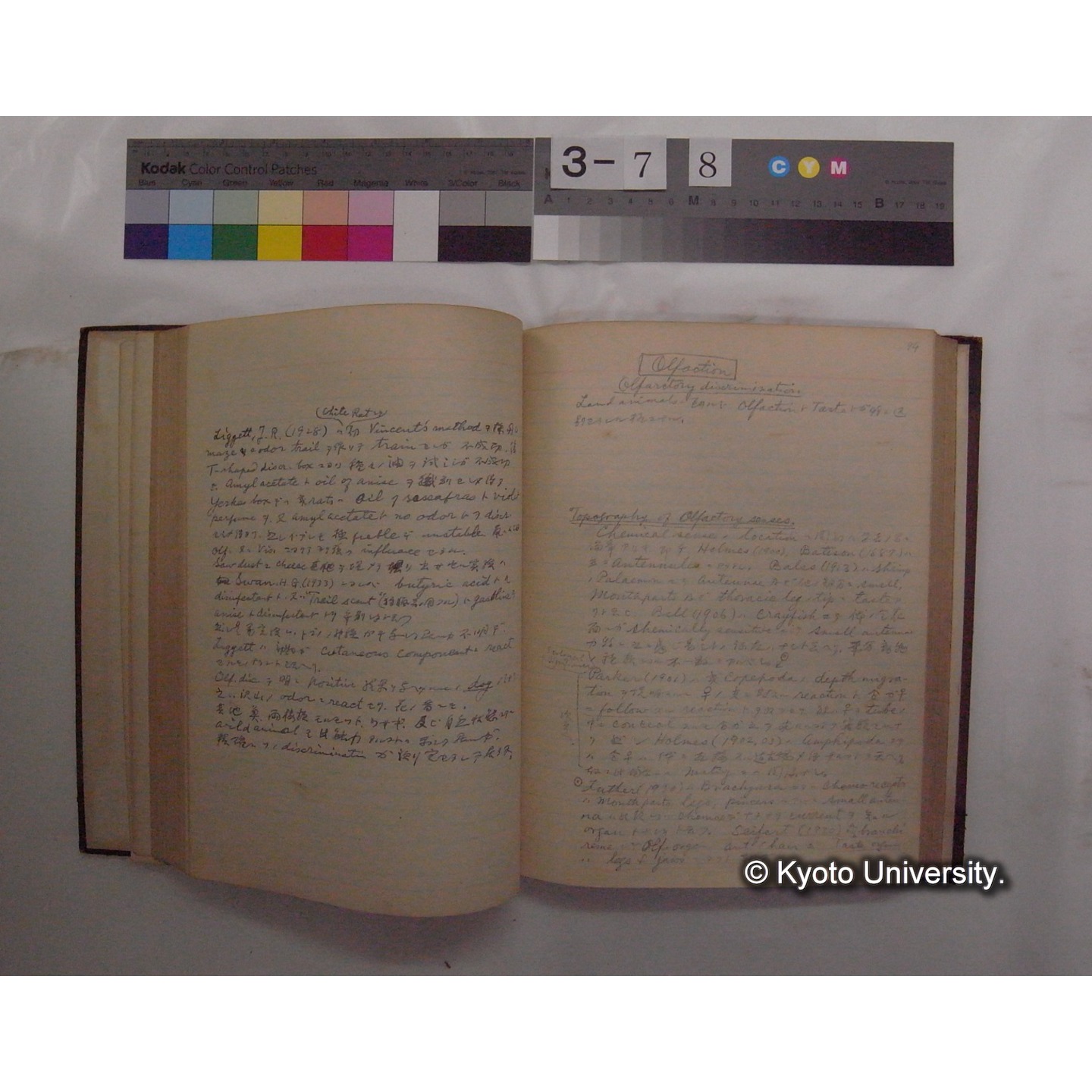 Vergleichende Physiologie (Band11: Sinnersorgane) (比較生理学 巻11 感覚器官) [翻訳ノート製本か] (16)