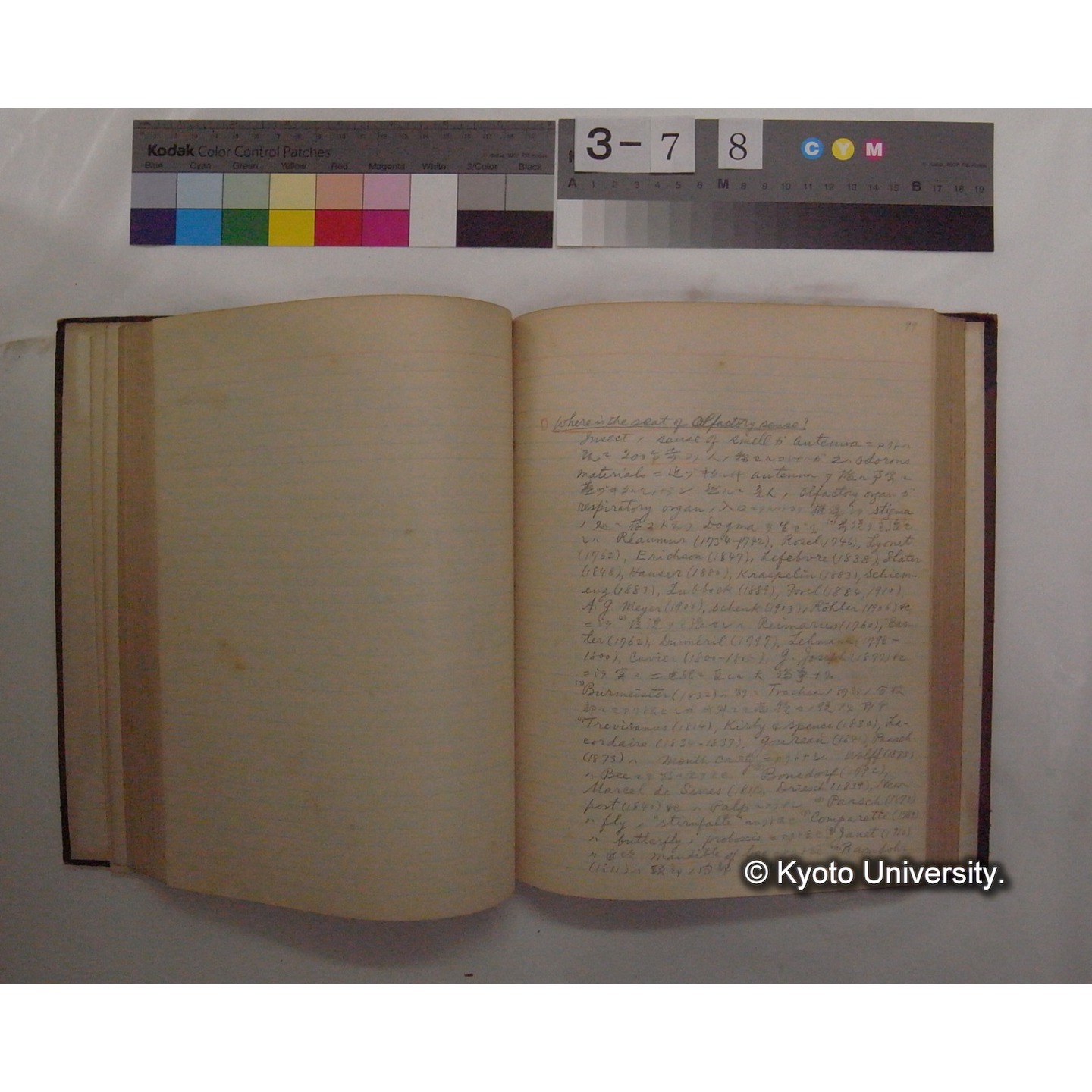 Vergleichende Physiologie (Band11: Sinnersorgane) (比較生理学 巻11 感覚器官) [翻訳ノート製本か] (17)