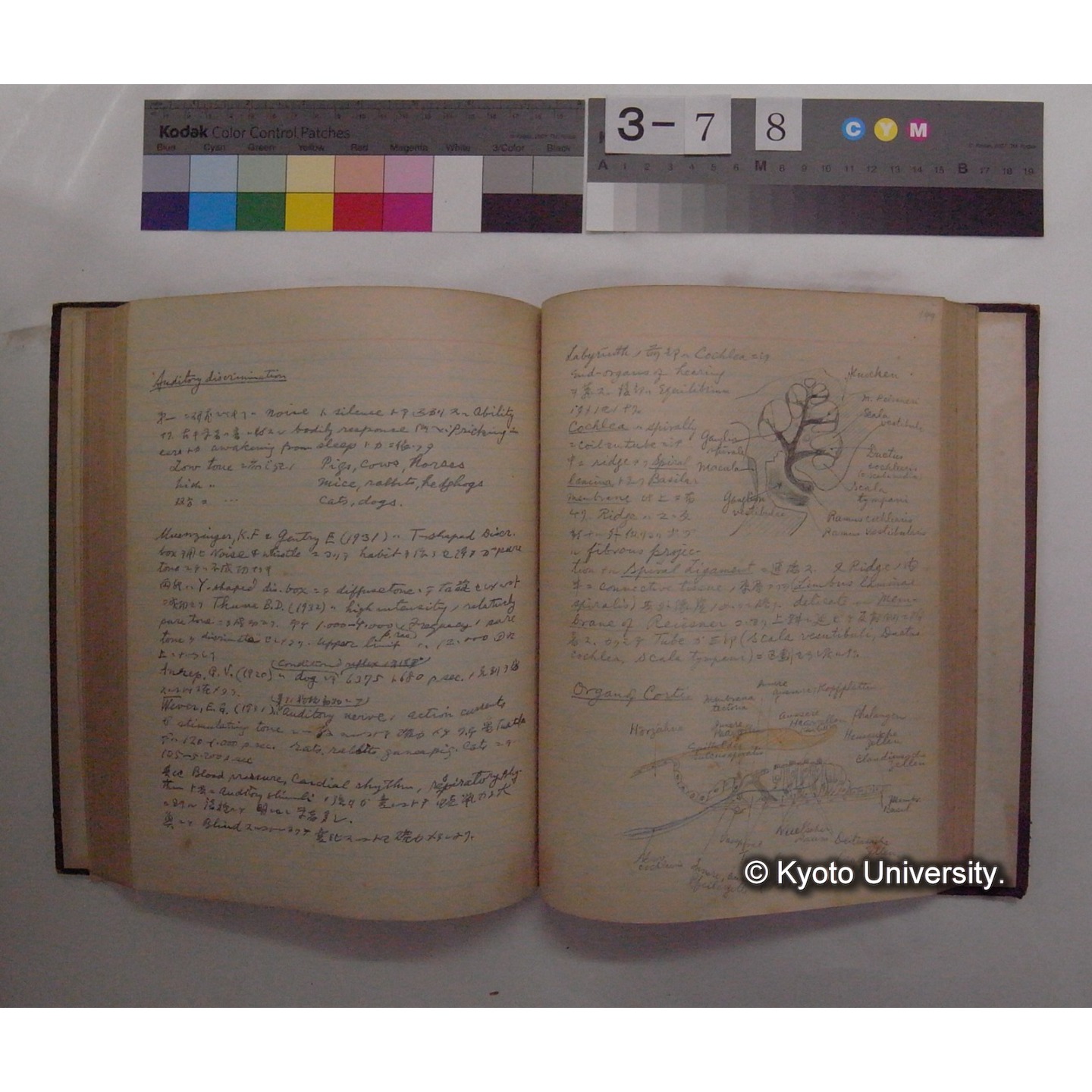 Vergleichende Physiologie (Band11: Sinnersorgane) (比較生理学 巻11 感覚器官) [翻訳ノート製本か] (23)