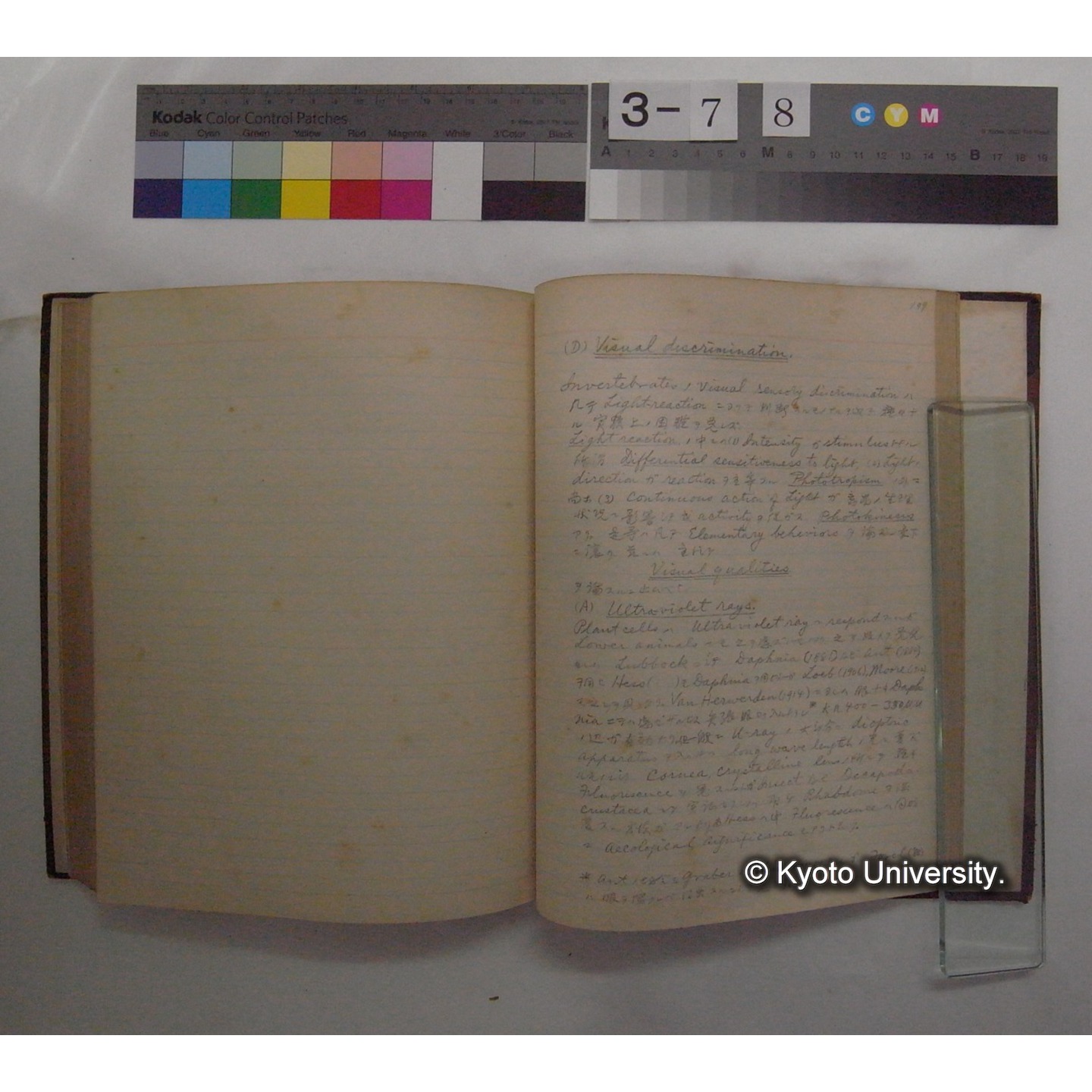 Vergleichende Physiologie (Band11: Sinnersorgane) (比較生理学 巻11 感覚器官) [翻訳ノート製本か] (28)