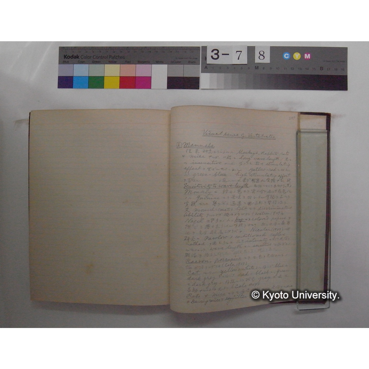 Vergleichende Physiologie (Band11: Sinnersorgane) (比較生理学 巻11 感覚器官) [翻訳ノート製本か] (31)