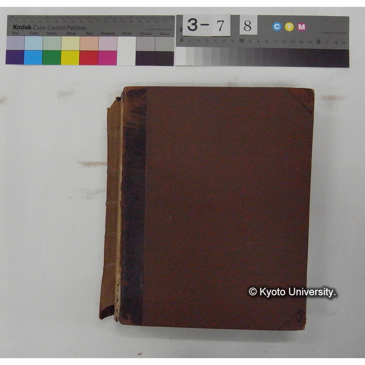 Vergleichende Physiologie (Band11: Sinnersorgane) (比較生理学 巻11 感覚器官) [翻訳ノート製本か] (32)