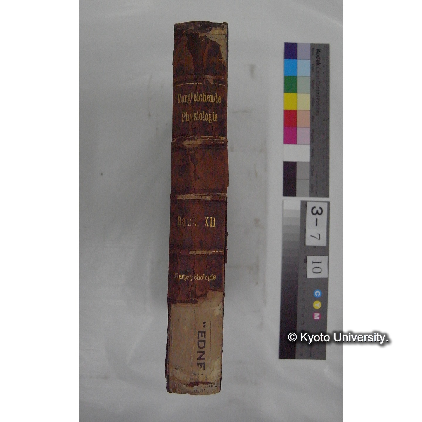 Vergleichende Physiologie (Band12: Tierpsychologie) (比較生理学 巻12 動物心理学) [翻訳ノート製本か] (1)