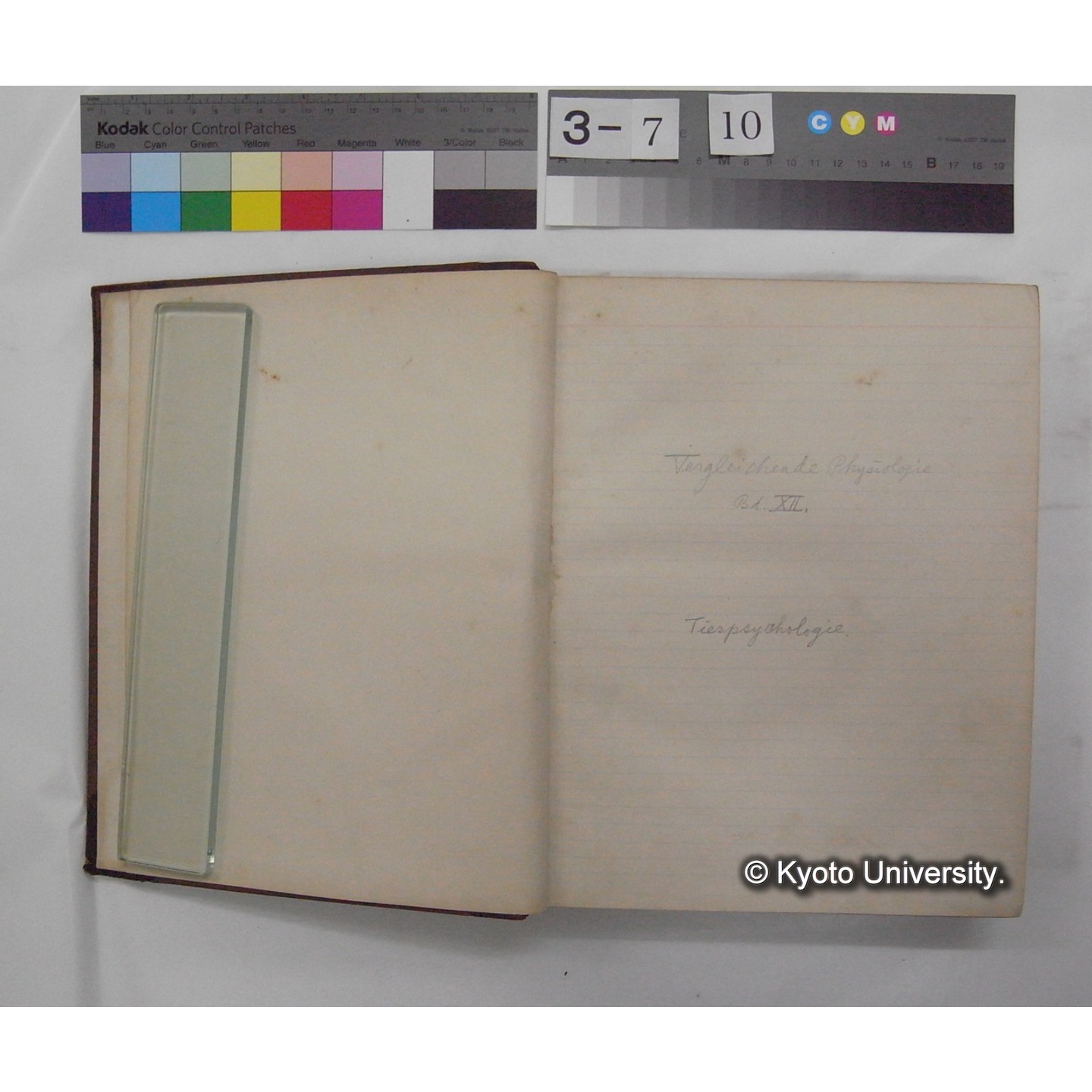 Vergleichende Physiologie (Band12: Tierpsychologie) (比較生理学 巻12 動物心理学) [翻訳ノート製本か] (3)