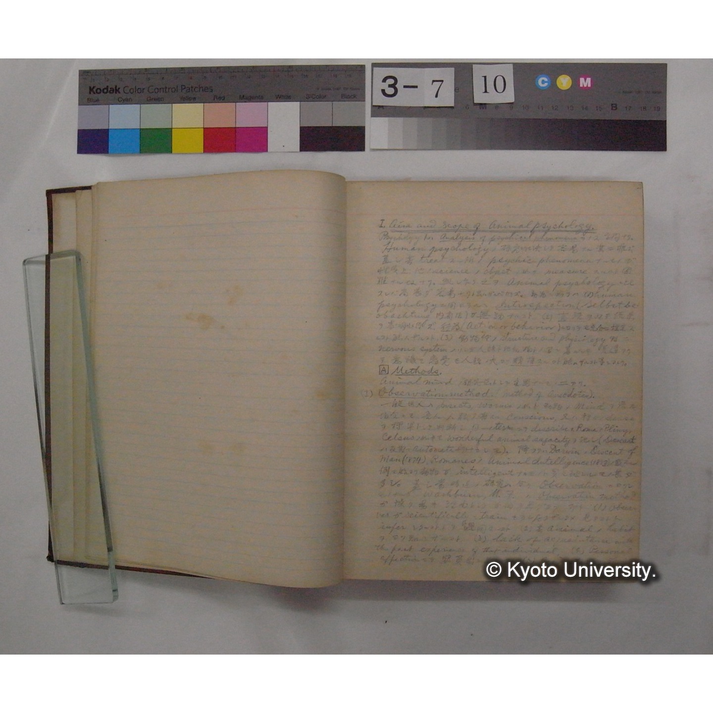 Vergleichende Physiologie (Band12: Tierpsychologie) (比較生理学 巻12 動物心理学) [翻訳ノート製本か] (6)