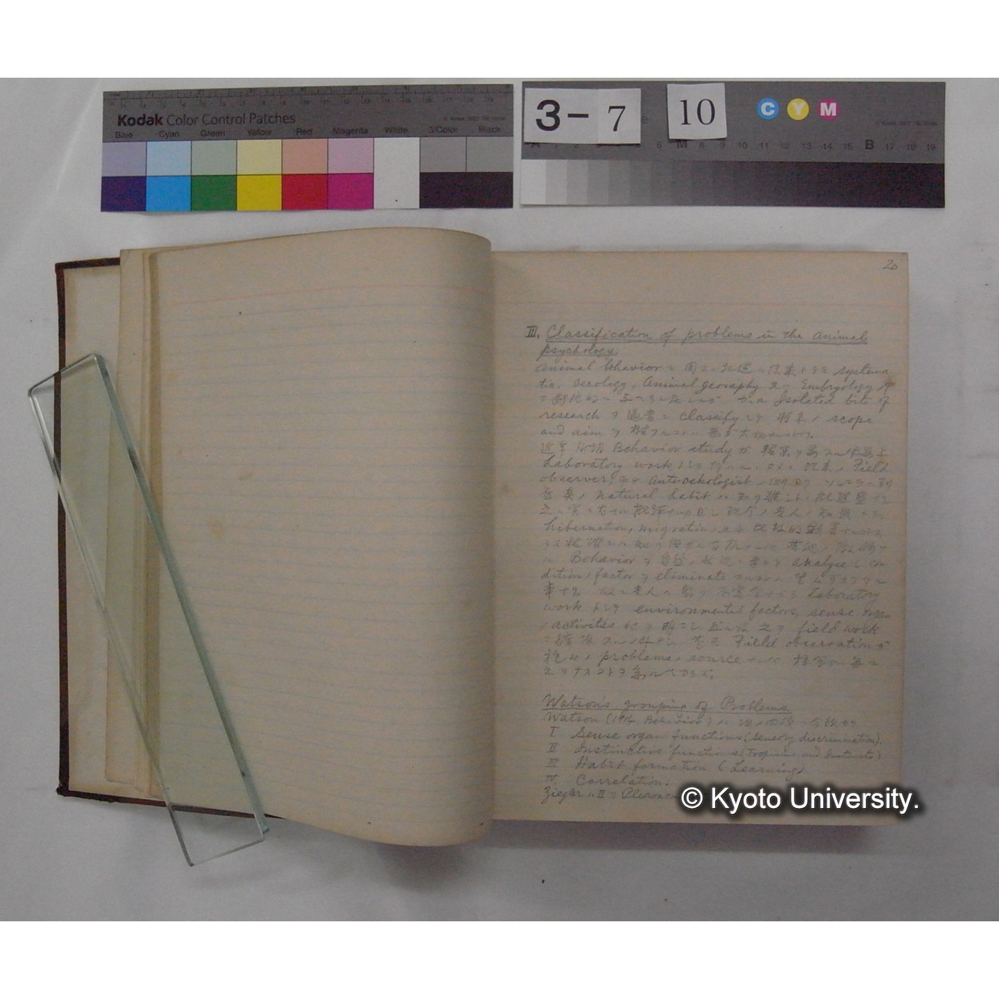 Vergleichende Physiologie (Band12: Tierpsychologie) (比較生理学 巻12 動物心理学) [翻訳ノート製本か] (7)