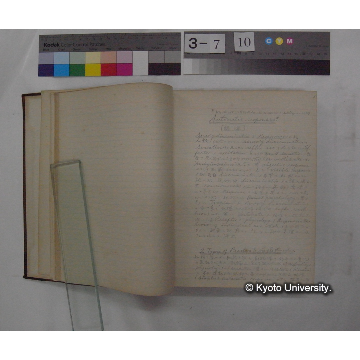 Vergleichende Physiologie (Band12: Tierpsychologie) (比較生理学 巻12 動物心理学) [翻訳ノート製本か] (8)