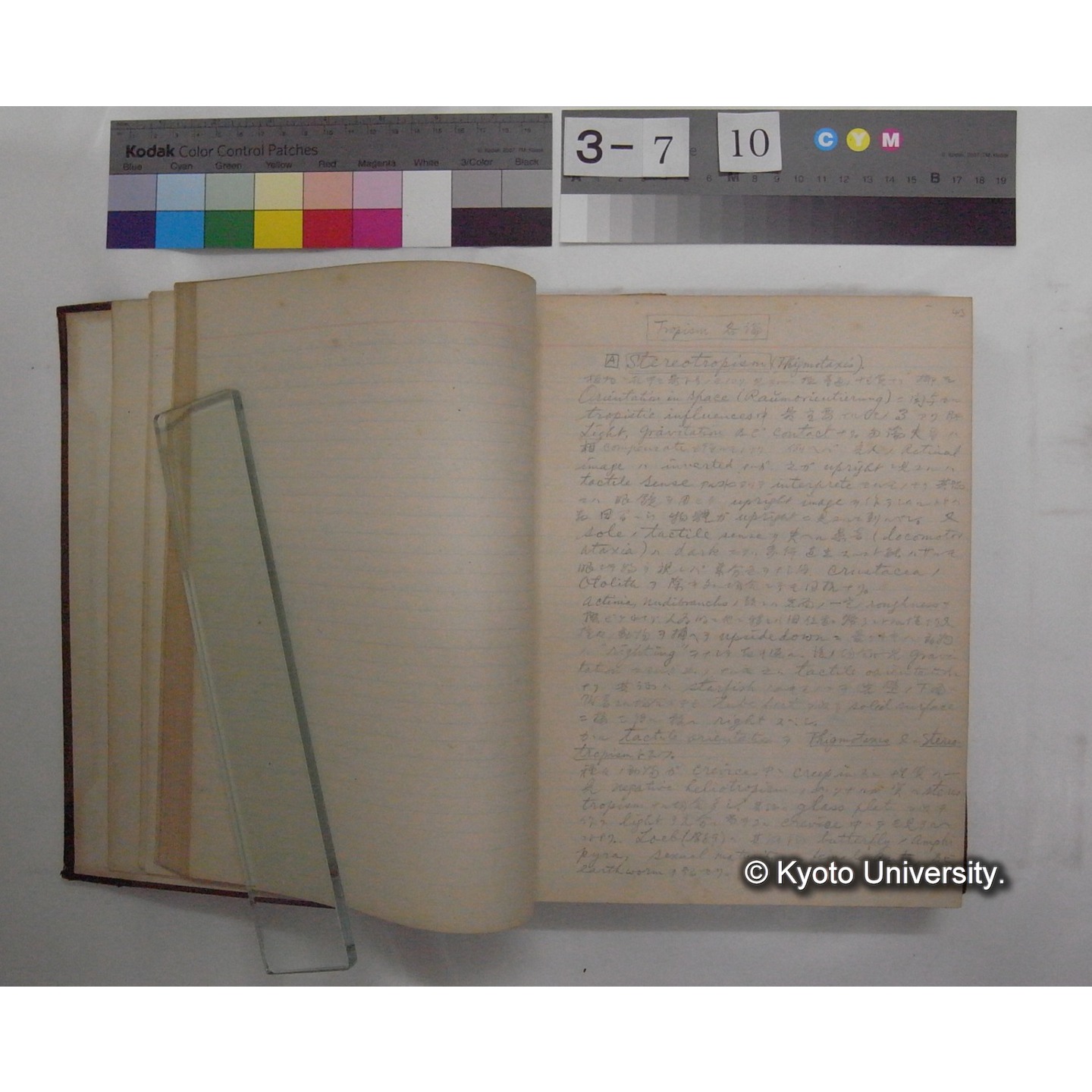 Vergleichende Physiologie (Band12: Tierpsychologie) (比較生理学 巻12 動物心理学) [翻訳ノート製本か] (9)