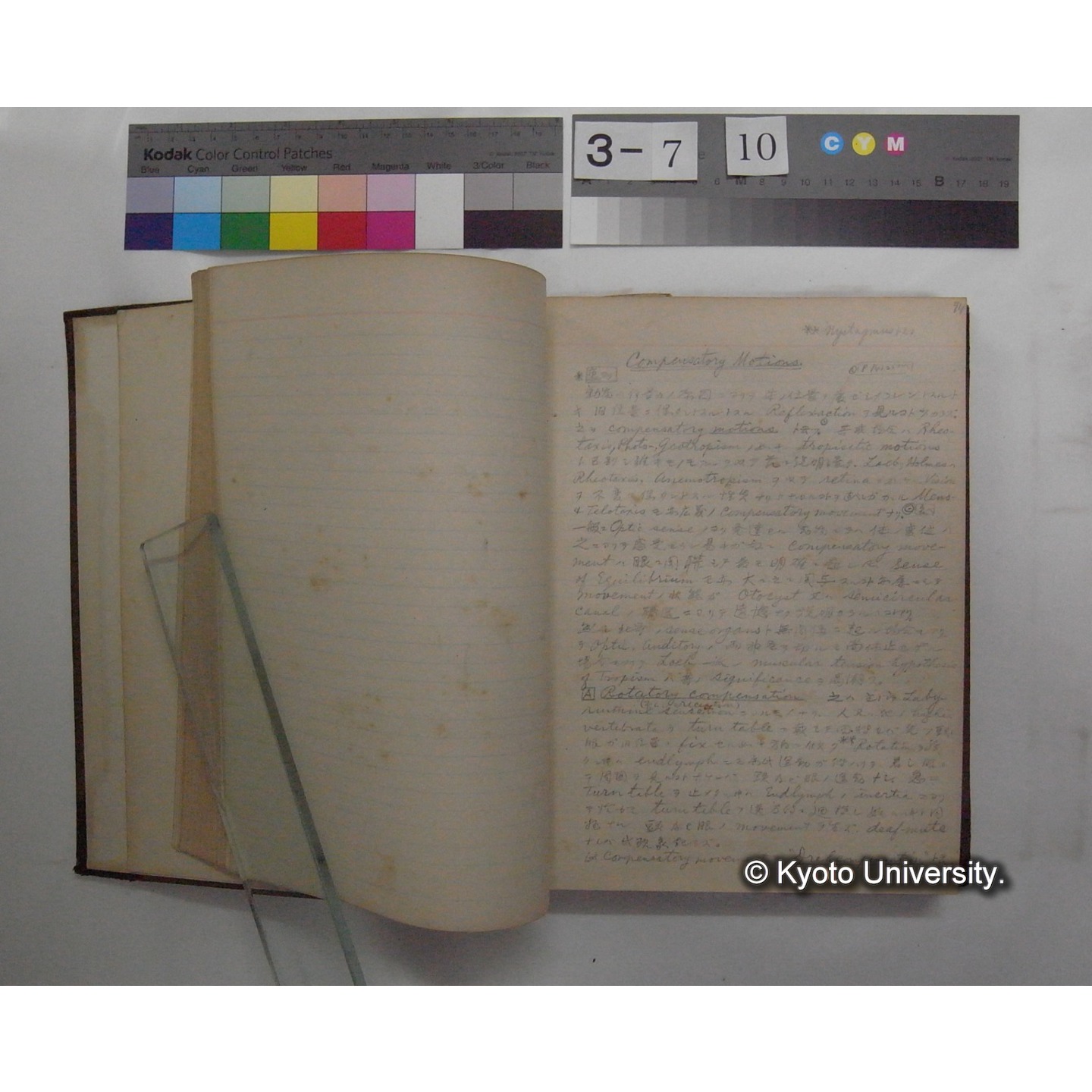 Vergleichende Physiologie (Band12: Tierpsychologie) (比較生理学 巻12 動物心理学) [翻訳ノート製本か] (10)