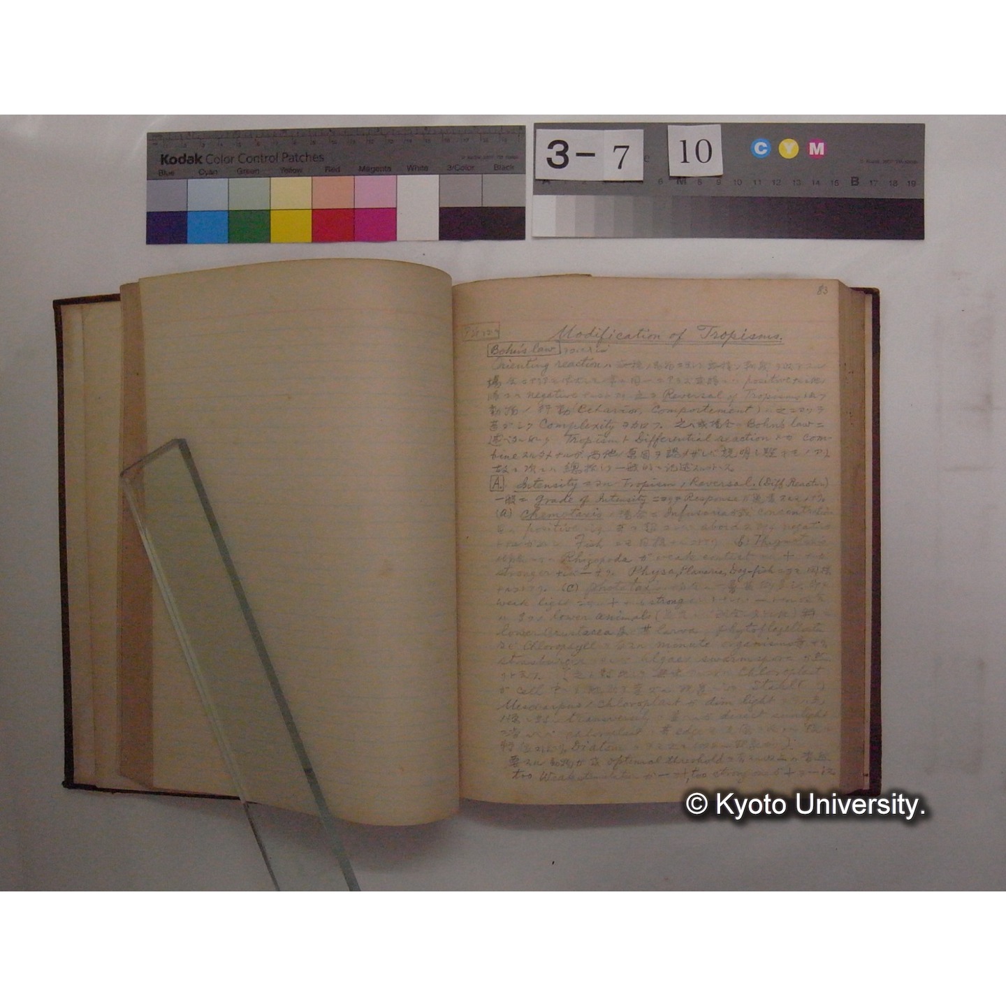 Vergleichende Physiologie (Band12: Tierpsychologie) (比較生理学 巻12 動物心理学) [翻訳ノート製本か] (12)