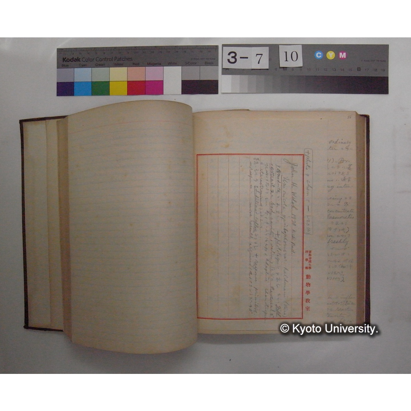 Vergleichende Physiologie (Band12: Tierpsychologie) (比較生理学 巻12 動物心理学) [翻訳ノート製本か] (13)