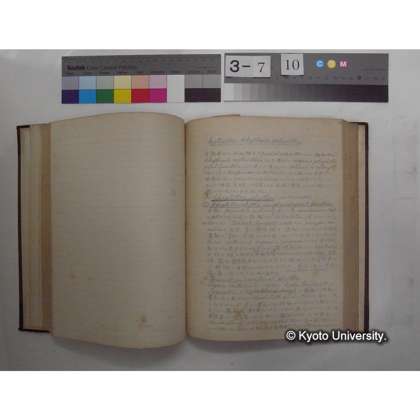 Vergleichende Physiologie (Band12: Tierpsychologie) (比較生理学 巻12 動物心理学) [翻訳ノート製本か] (15)