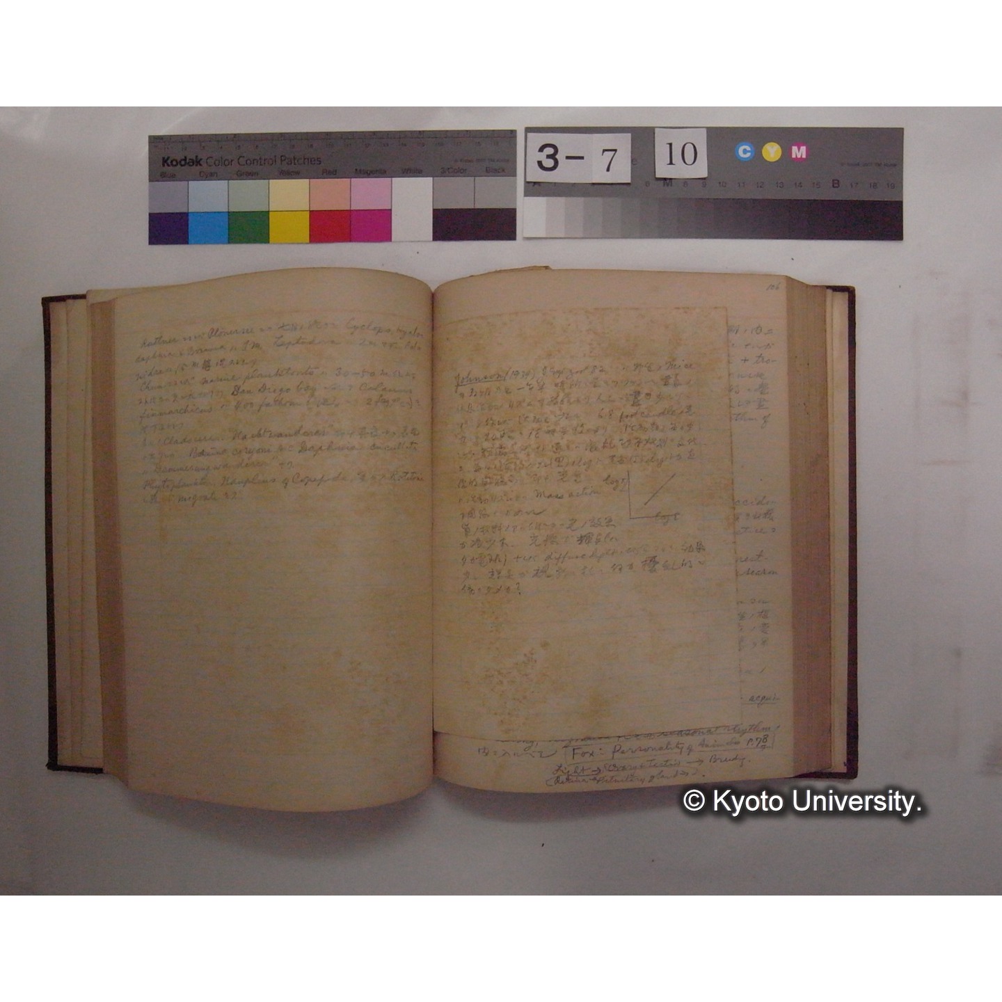 Vergleichende Physiologie (Band12: Tierpsychologie) (比較生理学 巻12 動物心理学) [翻訳ノート製本か] (16)