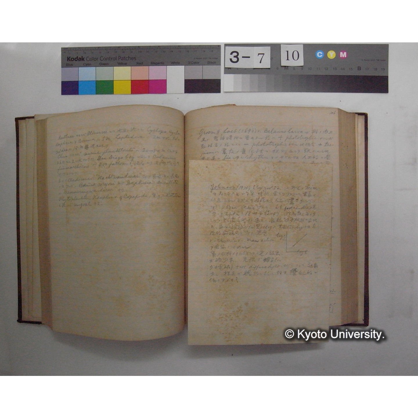 Vergleichende Physiologie (Band12: Tierpsychologie) (比較生理学 巻12 動物心理学) [翻訳ノート製本か] (17)