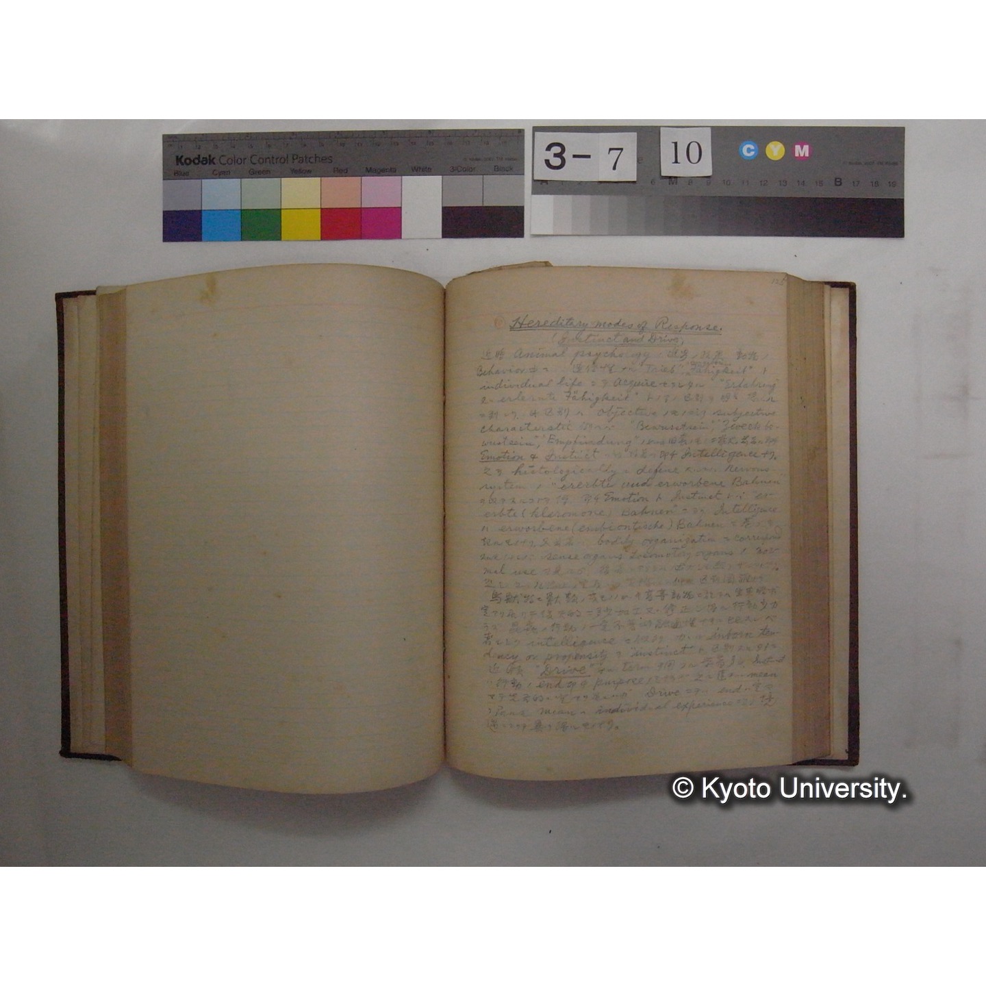 Vergleichende Physiologie (Band12: Tierpsychologie) (比較生理学 巻12 動物心理学) [翻訳ノート製本か] (18)