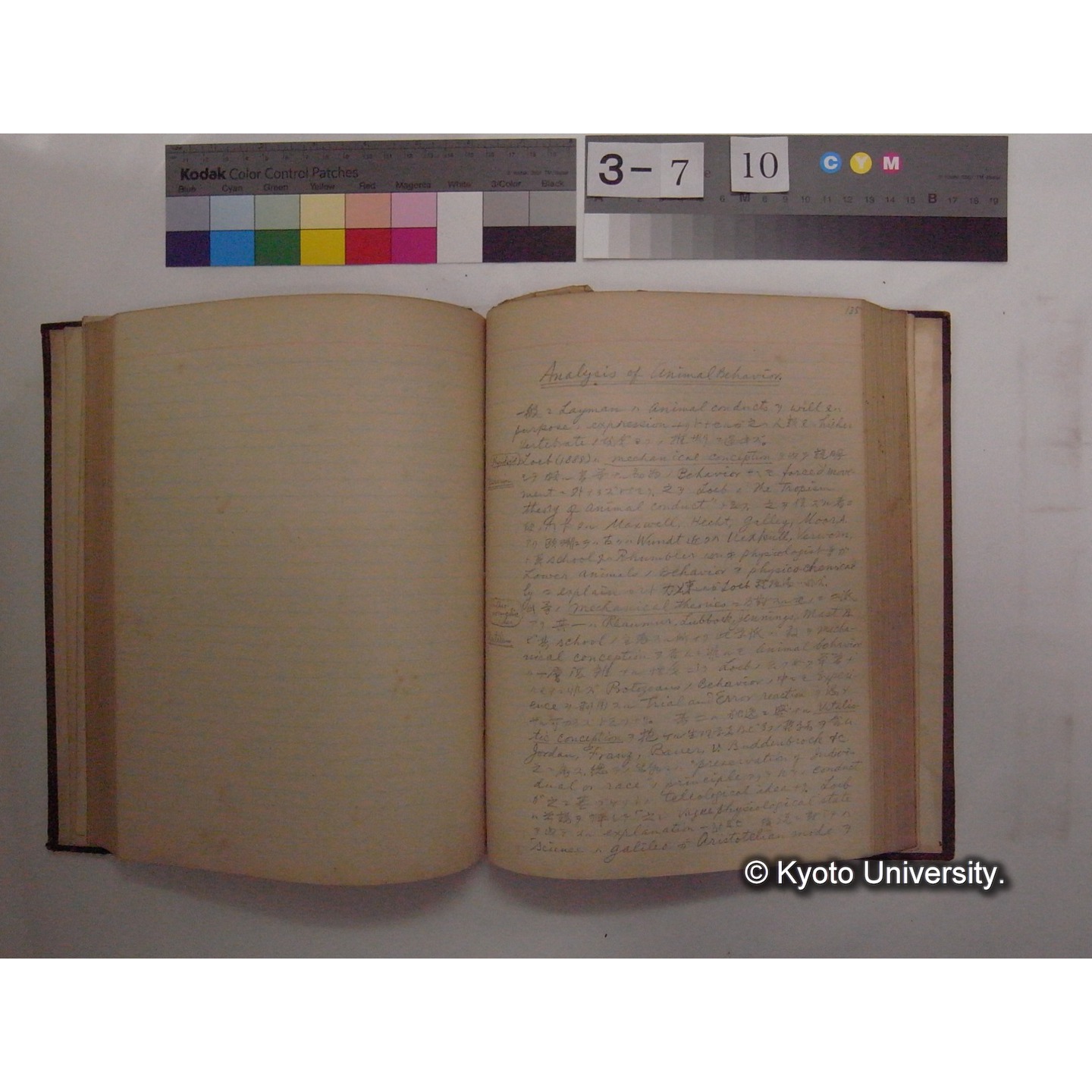 Vergleichende Physiologie (Band12: Tierpsychologie) (比較生理学 巻12 動物心理学) [翻訳ノート製本か] (19)