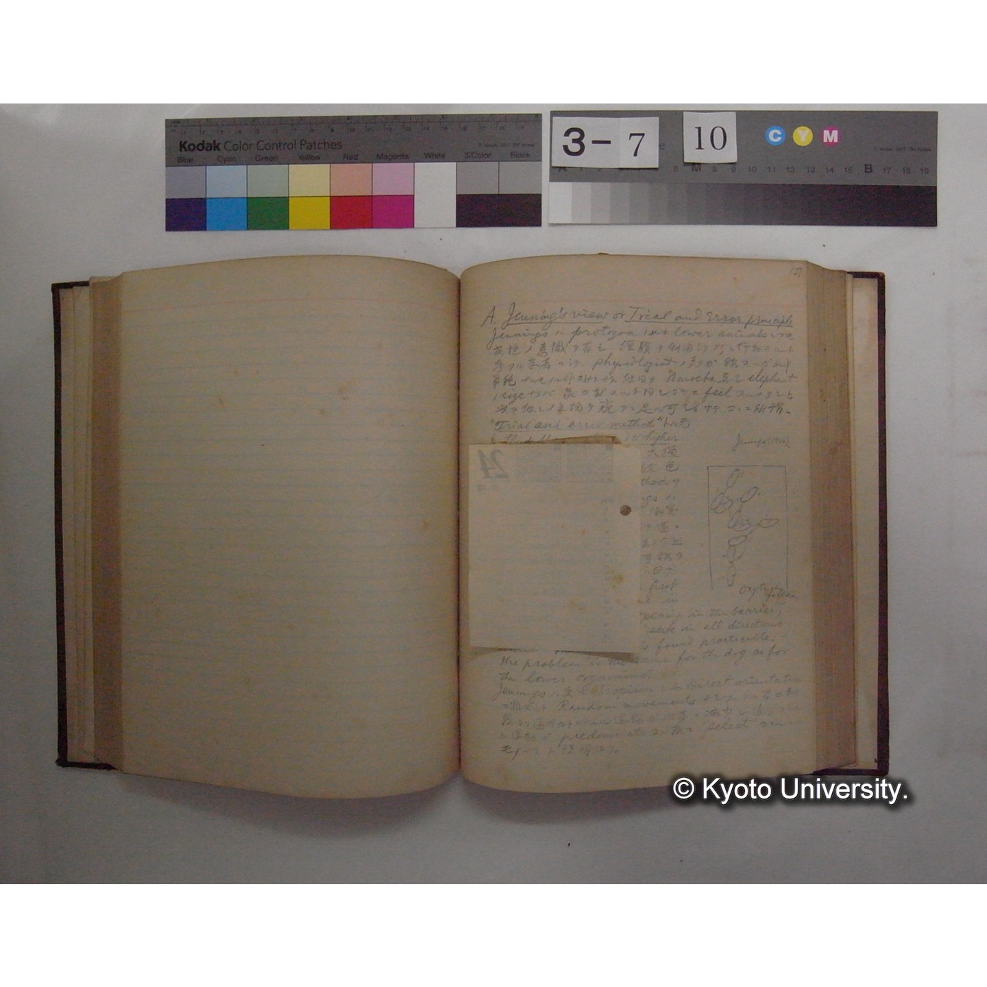 Vergleichende Physiologie (Band12: Tierpsychologie) (比較生理学 巻12 動物心理学) [翻訳ノート製本か] (21)