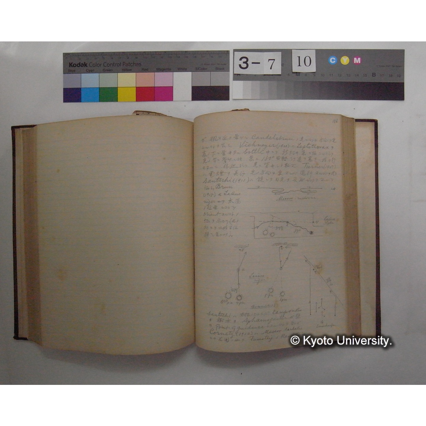 Vergleichende Physiologie (Band12: Tierpsychologie) (比較生理学 巻12 動物心理学) [翻訳ノート製本か] (22)