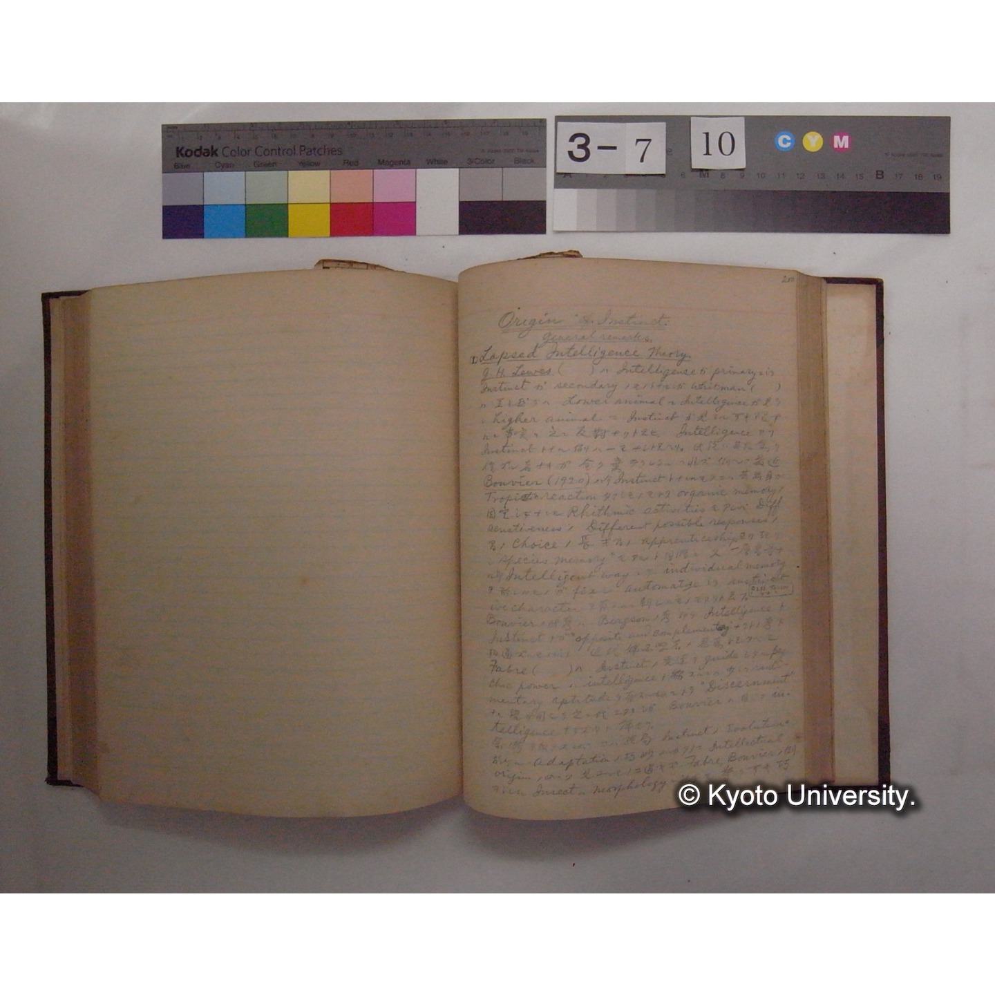 Vergleichende Physiologie (Band12: Tierpsychologie) (比較生理学 巻12 動物心理学) [翻訳ノート製本か] (23)