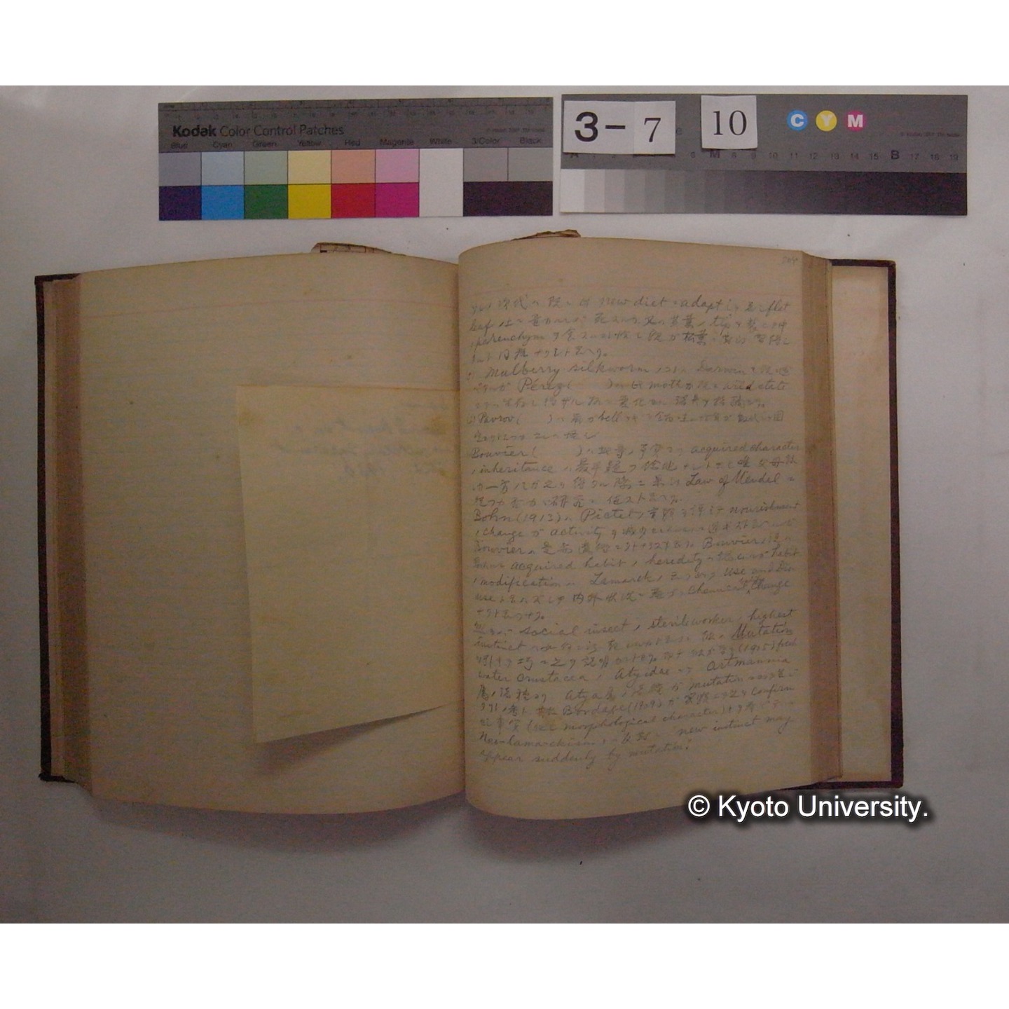 Vergleichende Physiologie (Band12: Tierpsychologie) (比較生理学 巻12 動物心理学) [翻訳ノート製本か] (24)