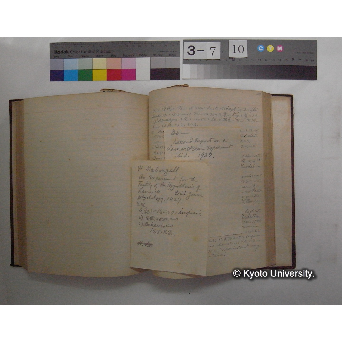 Vergleichende Physiologie (Band12: Tierpsychologie) (比較生理学 巻12 動物心理学) [翻訳ノート製本か] (25)