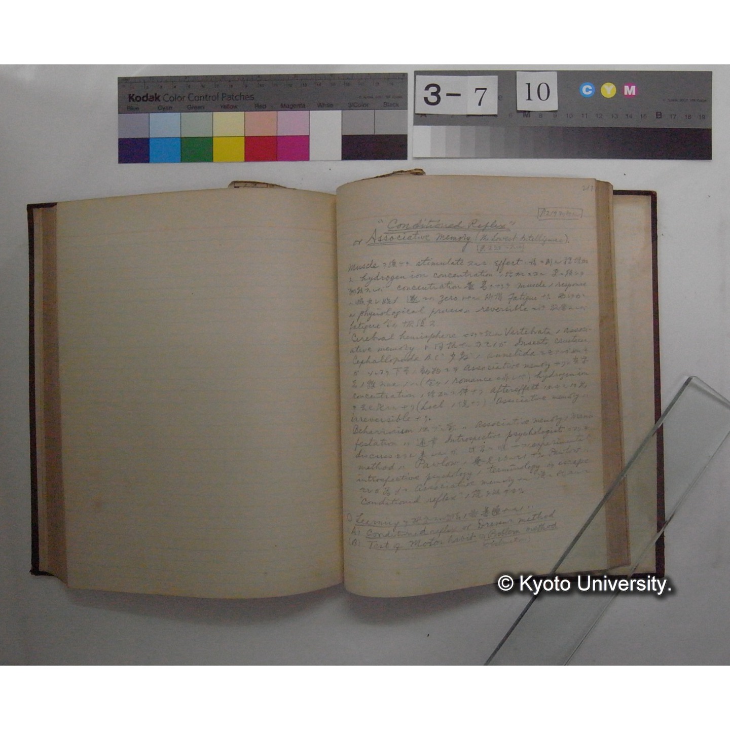 Vergleichende Physiologie (Band12: Tierpsychologie) (比較生理学 巻12 動物心理学) [翻訳ノート製本か] (26)