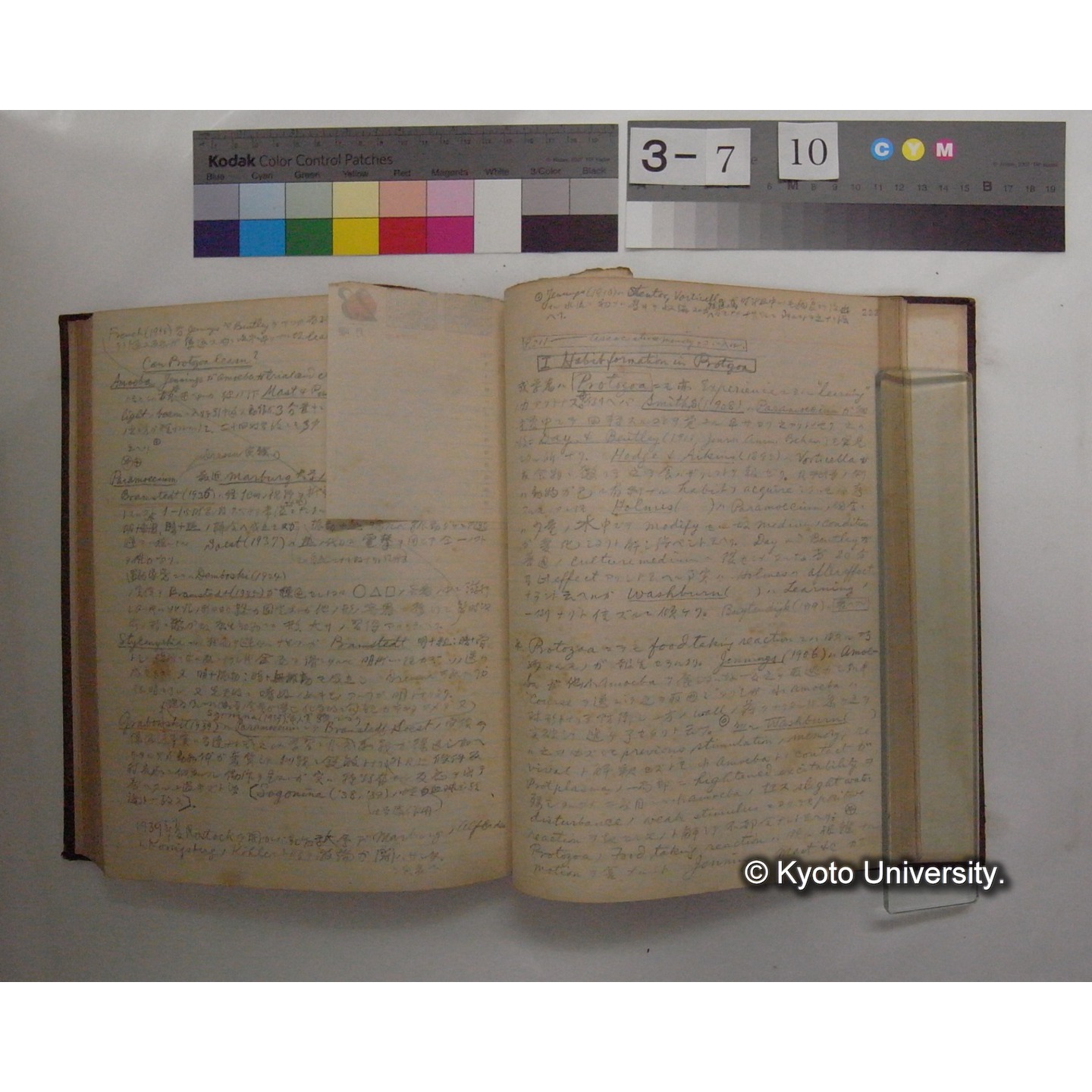 Vergleichende Physiologie (Band12: Tierpsychologie) (比較生理学 巻12 動物心理学) [翻訳ノート製本か] (27)