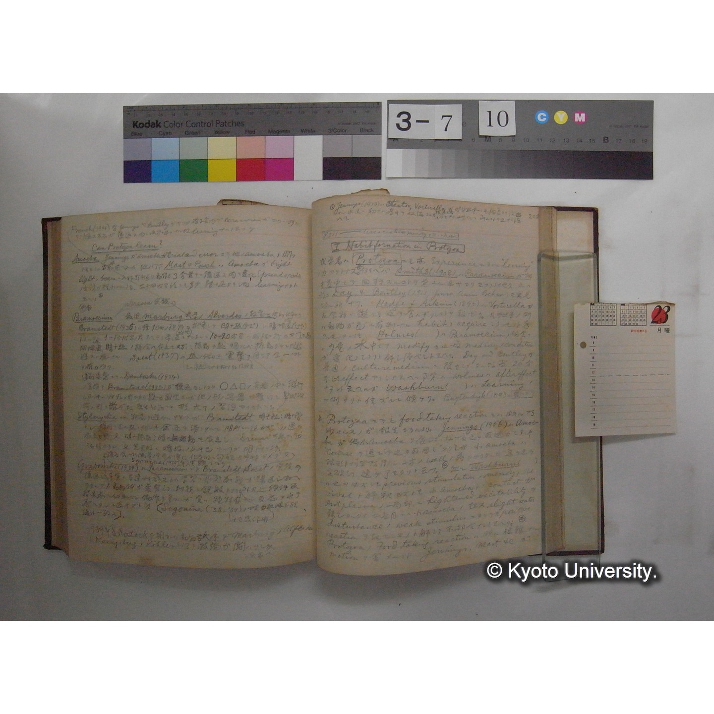 Vergleichende Physiologie (Band12: Tierpsychologie) (比較生理学 巻12 動物心理学) [翻訳ノート製本か] (28)