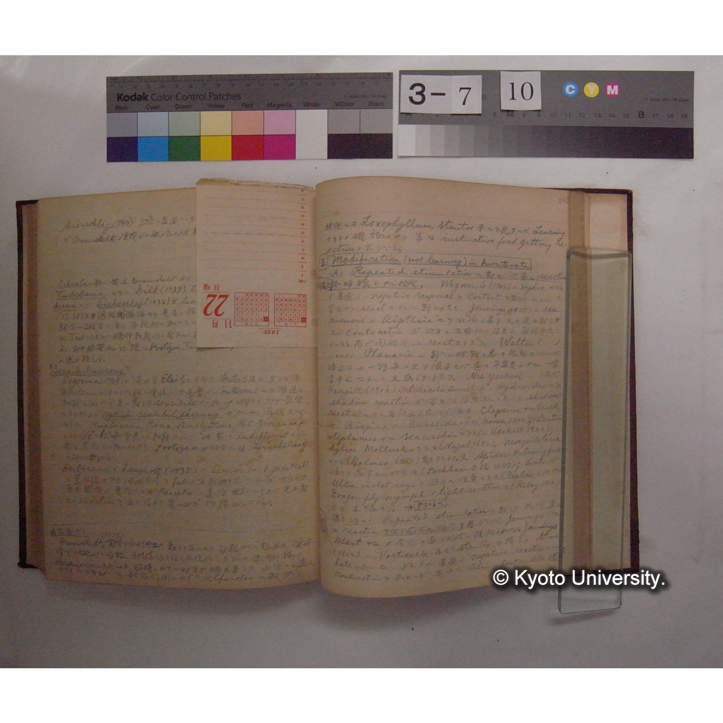 Vergleichende Physiologie (Band12: Tierpsychologie) (比較生理学 巻12 動物心理学) [翻訳ノート製本か] (29)