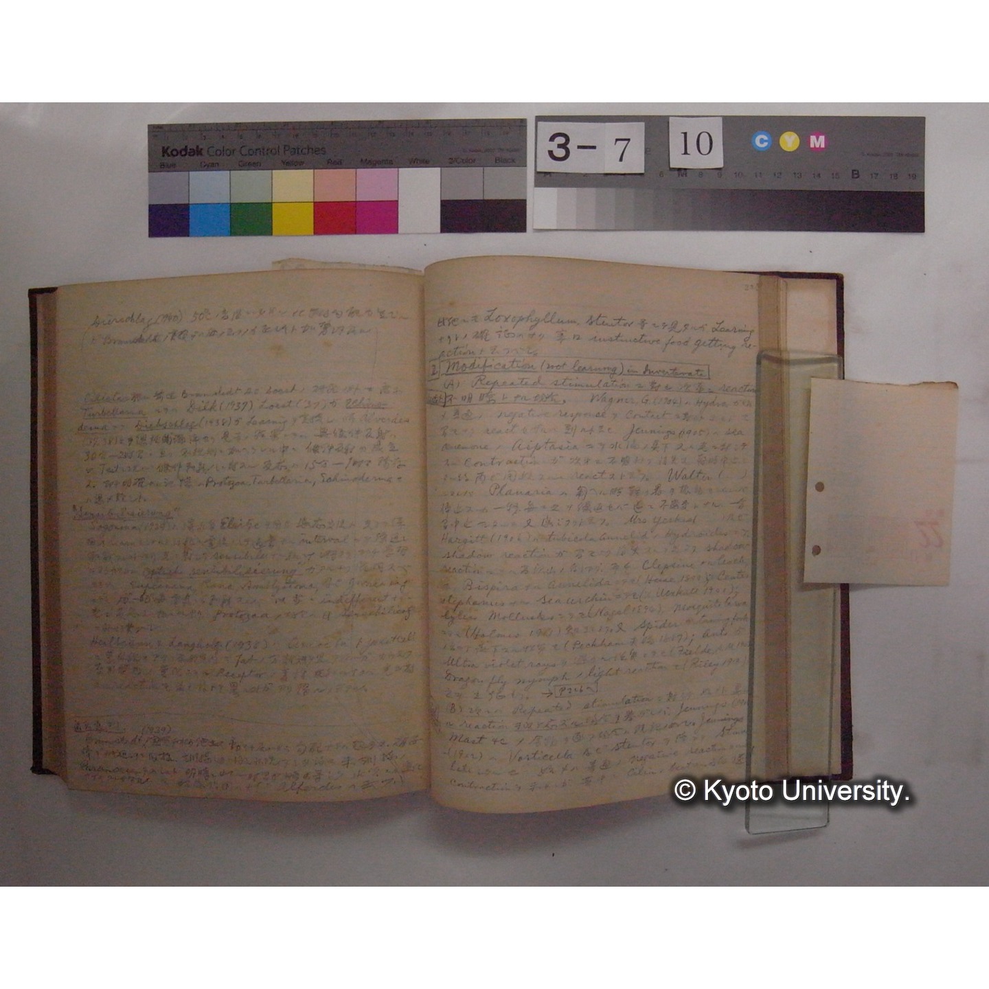 Vergleichende Physiologie (Band12: Tierpsychologie) (比較生理学 巻12 動物心理学) [翻訳ノート製本か] (30)