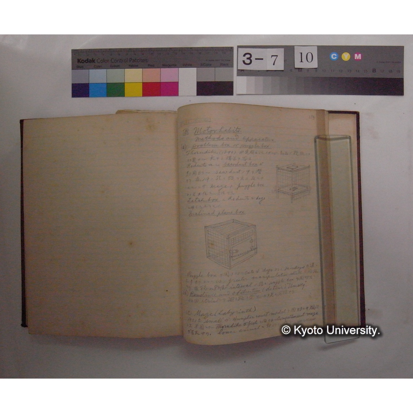 Vergleichende Physiologie (Band12: Tierpsychologie) (比較生理学 巻12 動物心理学) [翻訳ノート製本か] (31)