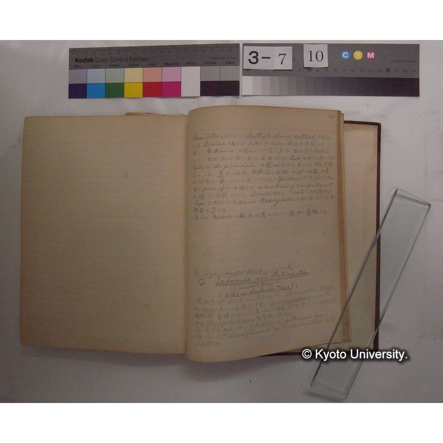 Vergleichende Physiologie (Band12: Tierpsychologie) (比較生理学 巻12 動物心理学) [翻訳ノート製本か] (32)