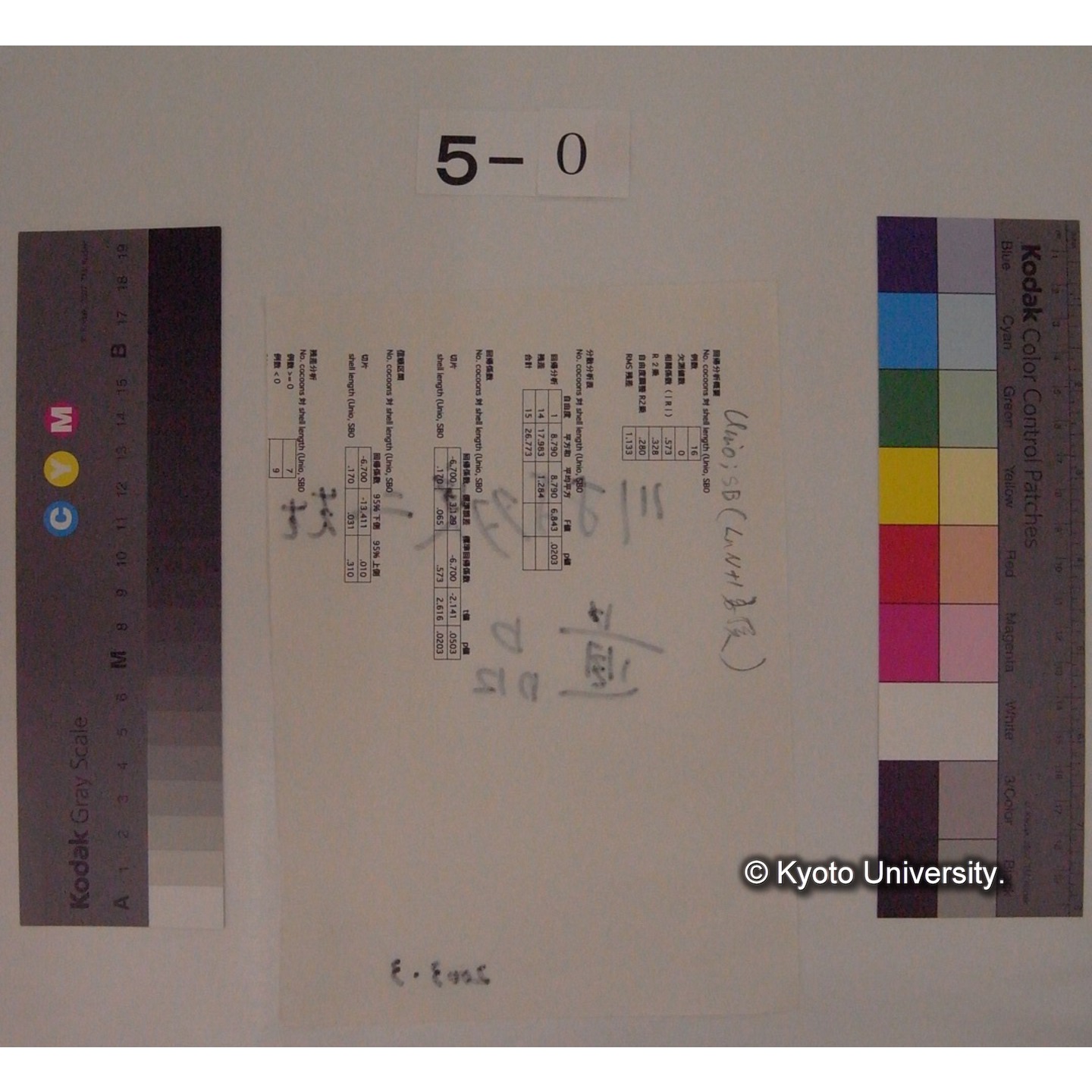 受入時メモ(「川村多実(ママ)二先生」/遺品) (2)