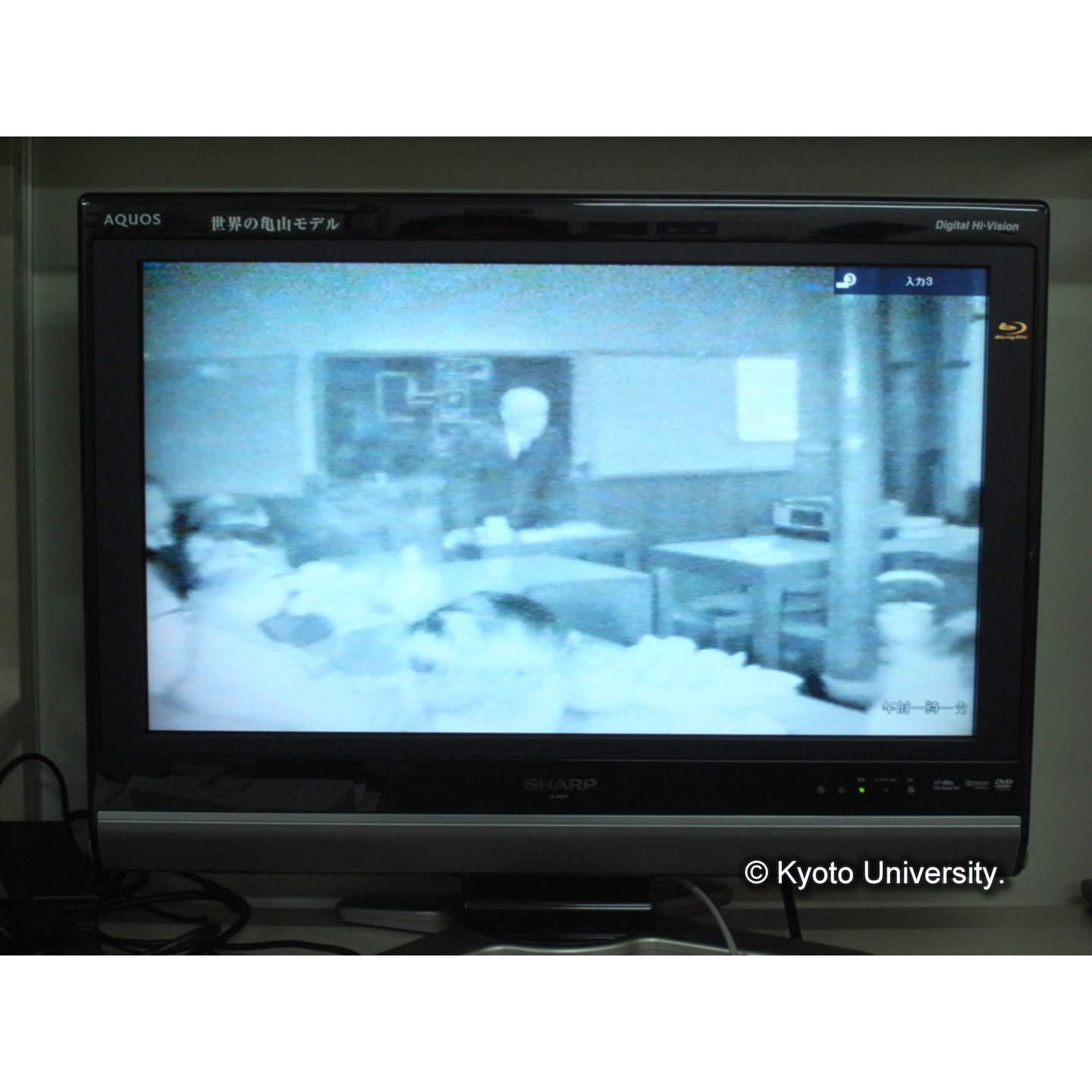 (「生態研センター8mmフィルム」)[映像資料] (7)