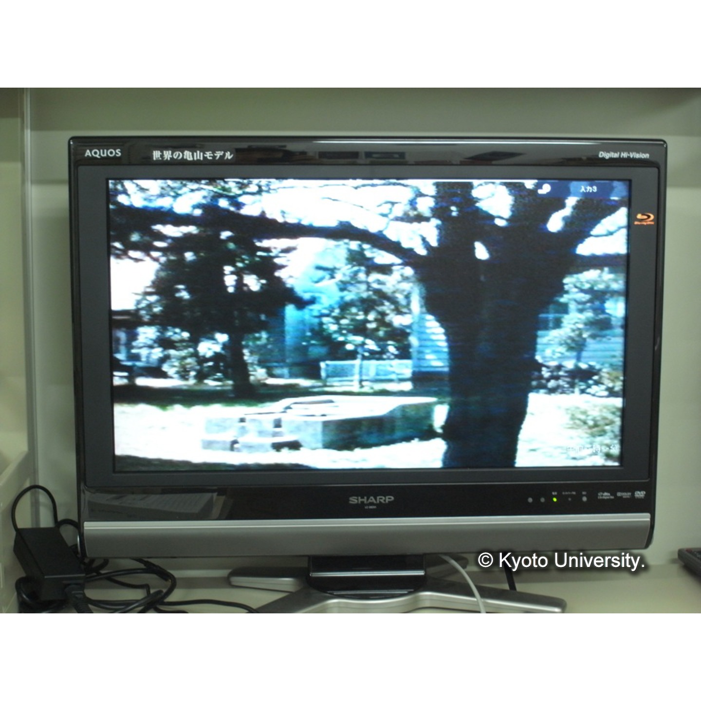 (「生態研センター8mmフィルム」)[映像資料] (14)