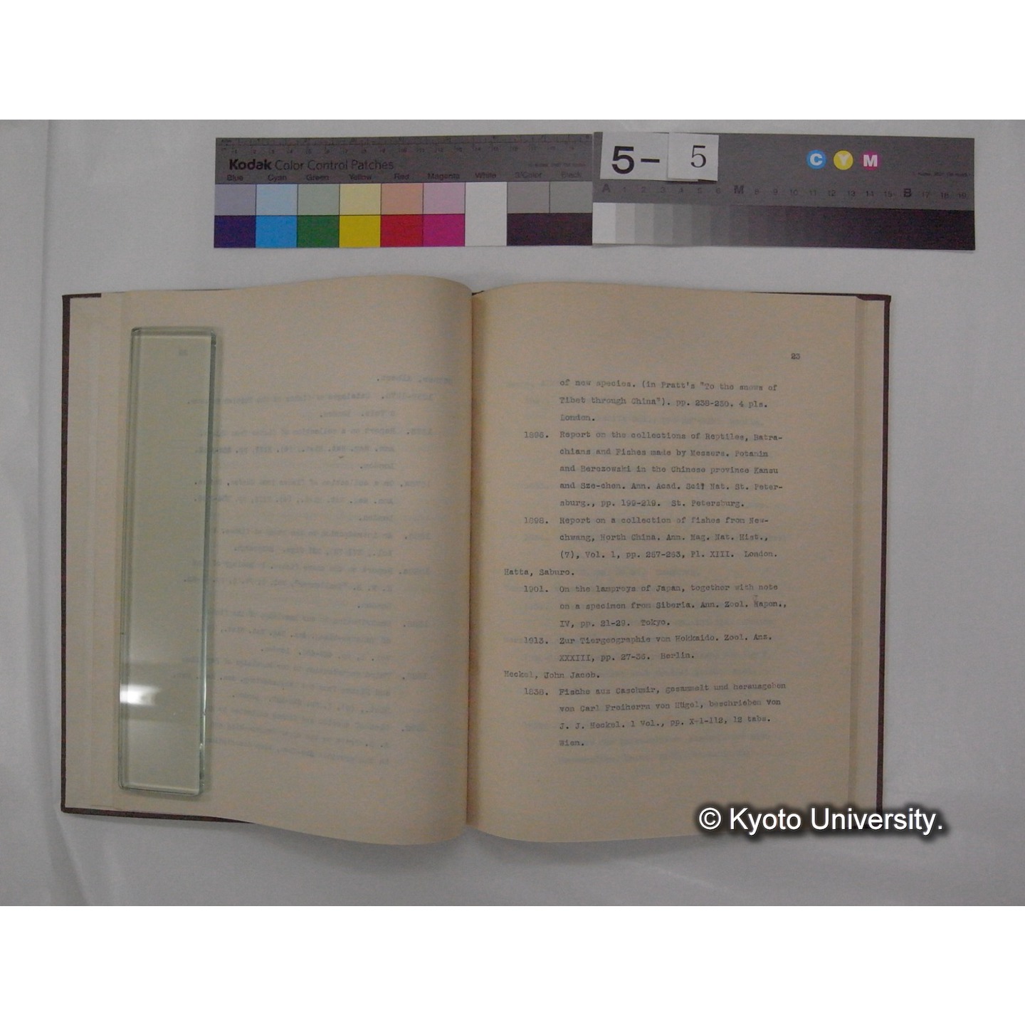 Bibliography of Fresh-Water Fishes of Eastern Asia. (6)