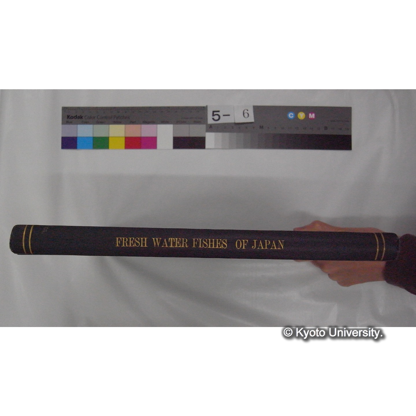 Fresh Water Fishes of Japan / by Denzaburo Miyaji (1)