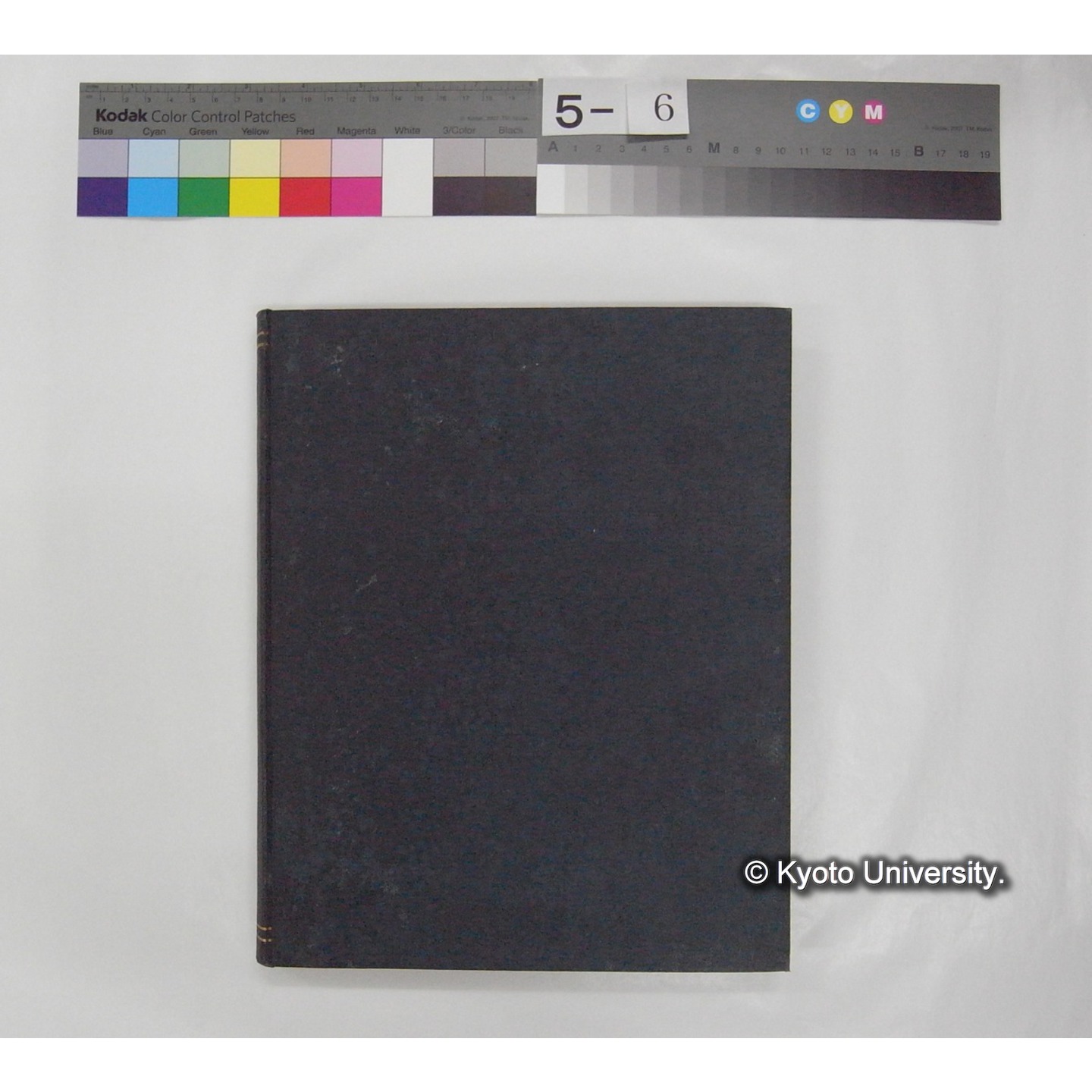 Fresh Water Fishes of Japan / by Denzaburo Miyaji (2)