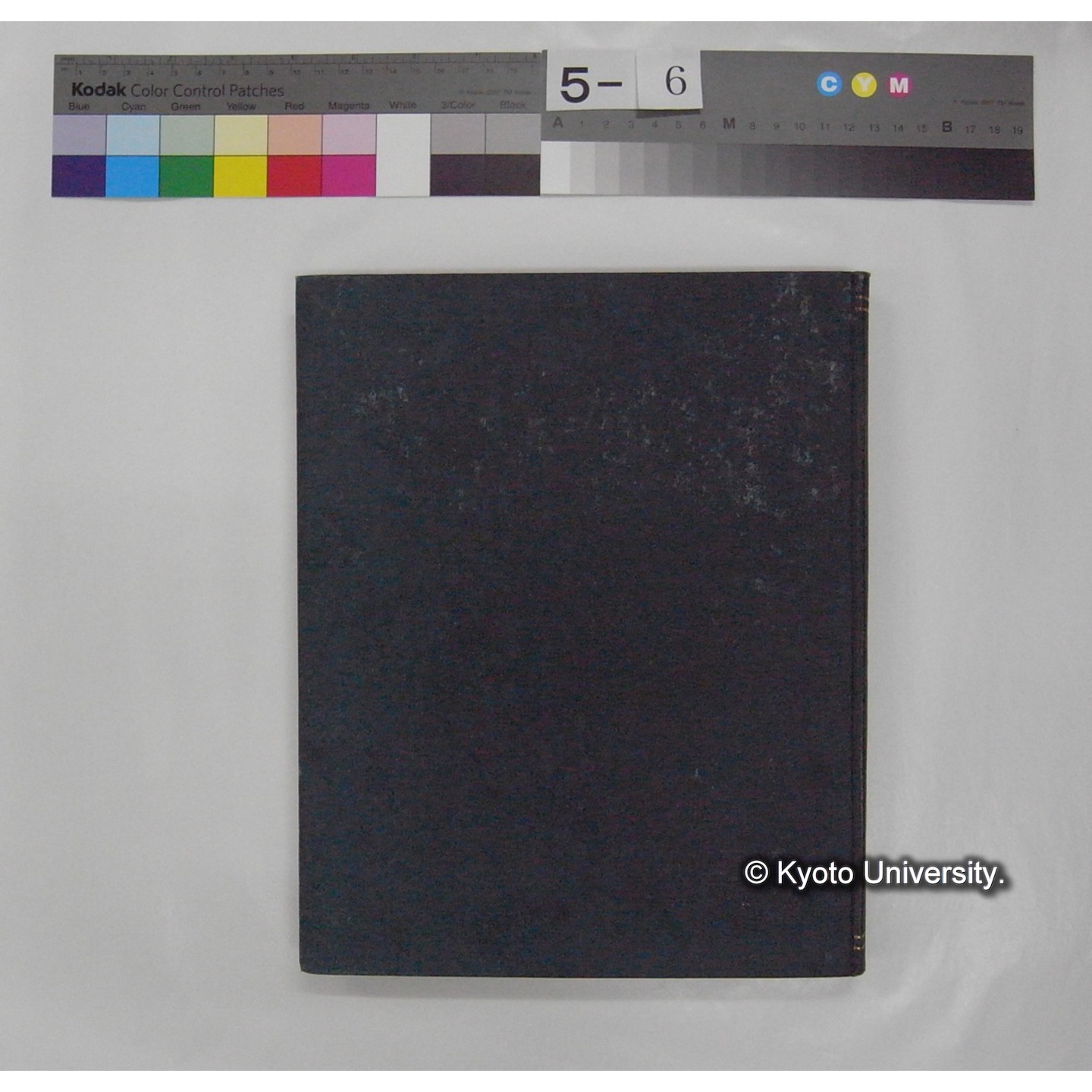 Fresh Water Fishes of Japan / by Denzaburo Miyaji (3)