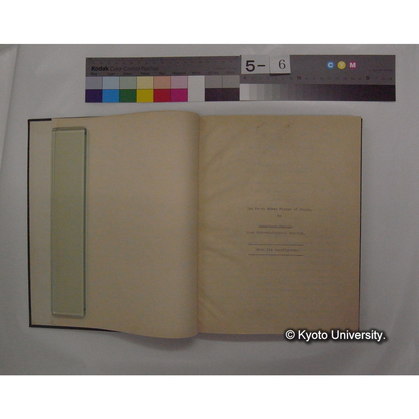 Fresh Water Fishes of Japan / by Denzaburo Miyaji (4)