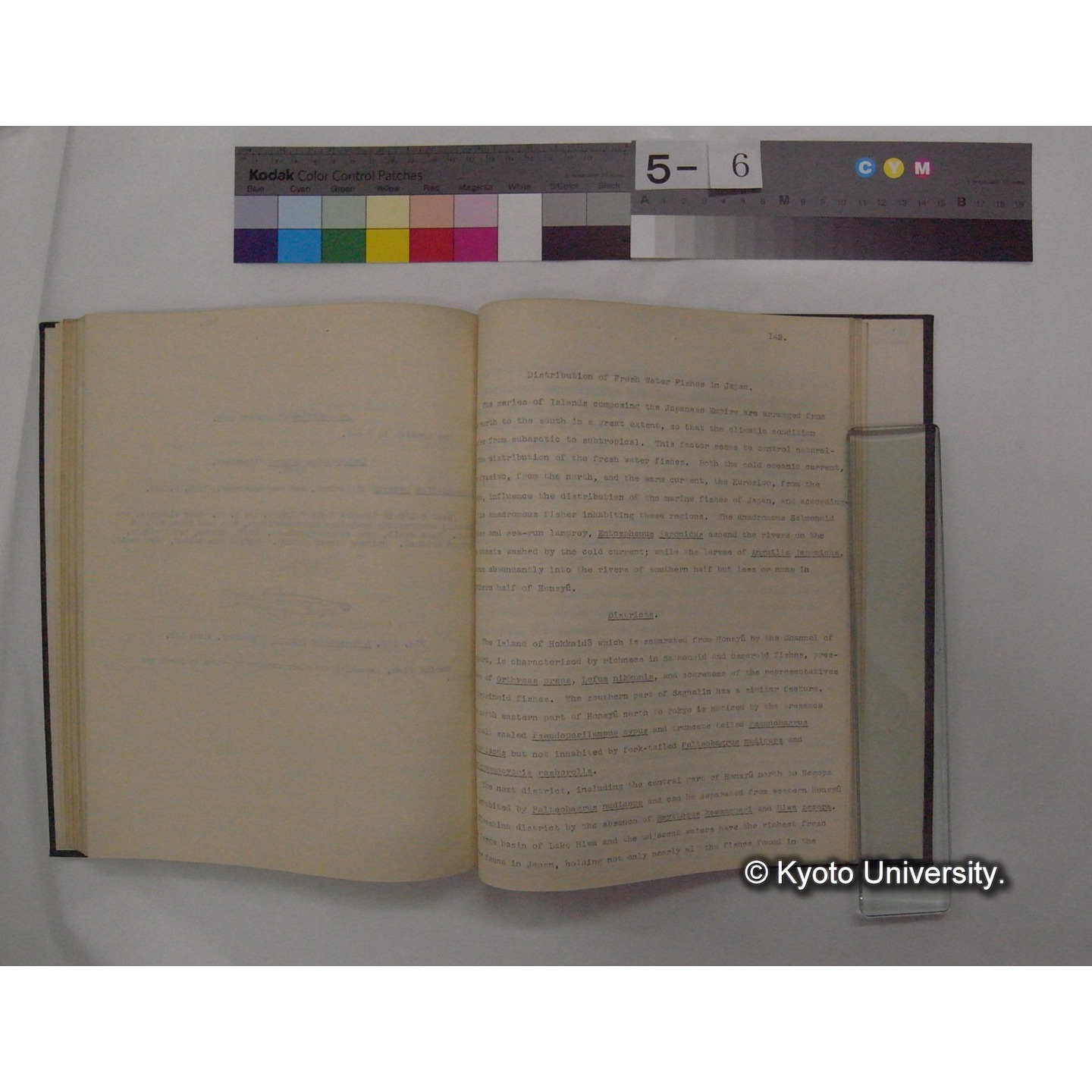 Fresh Water Fishes of Japan / by Denzaburo Miyaji (15)