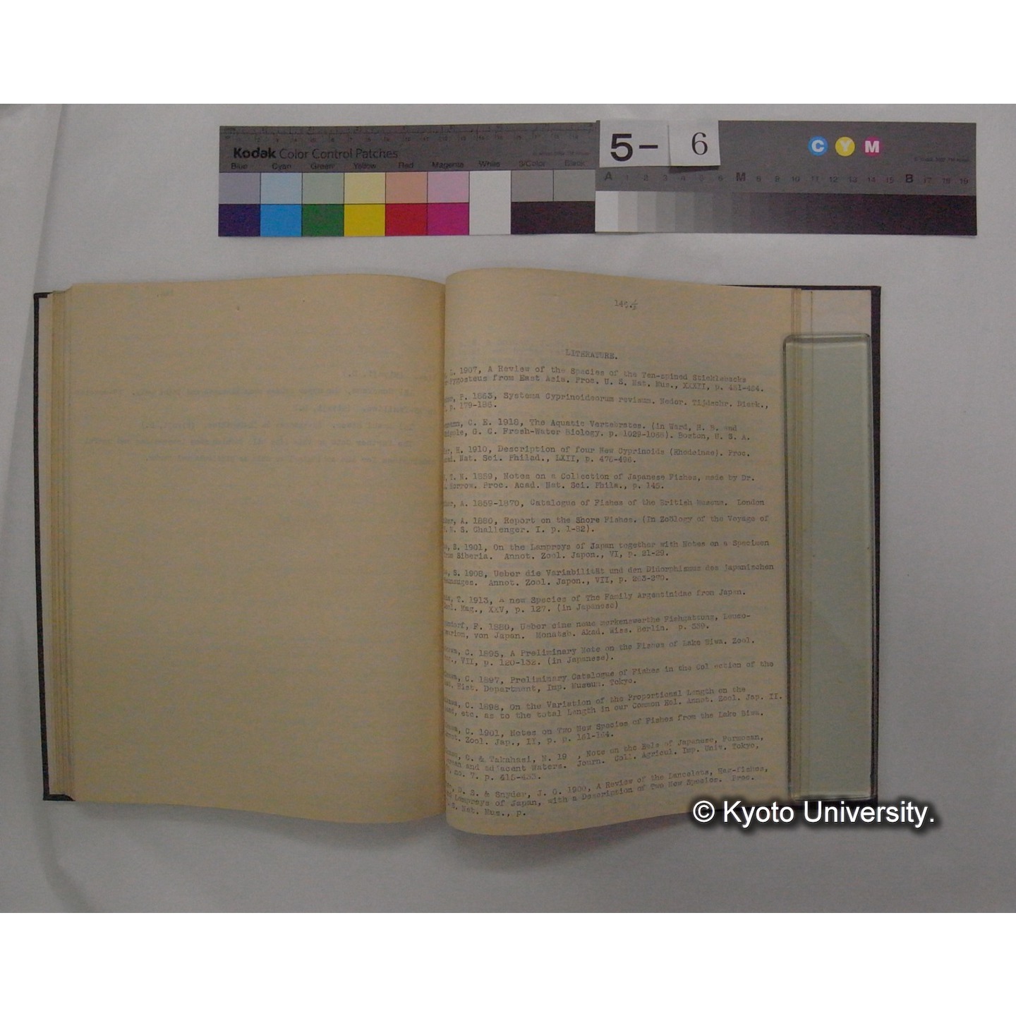 Fresh Water Fishes of Japan / by Denzaburo Miyaji (16)