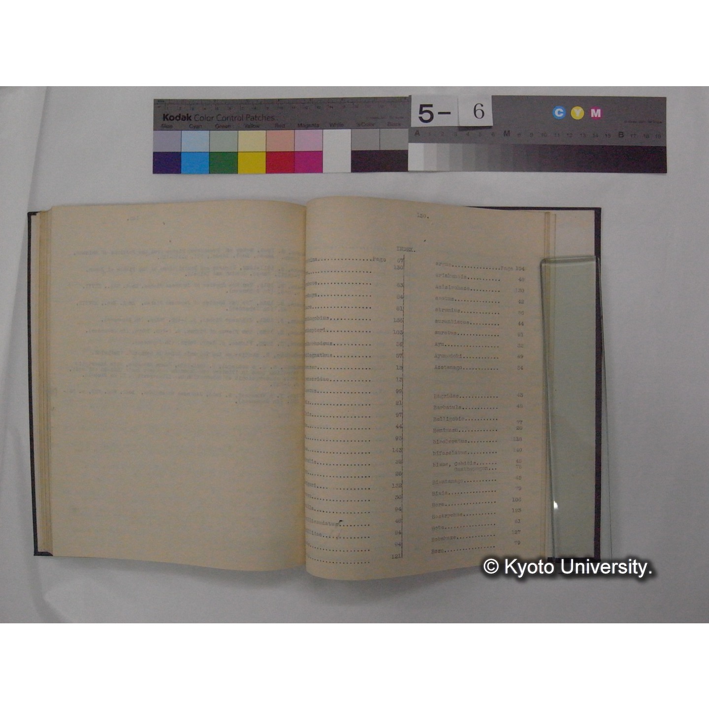 Fresh Water Fishes of Japan / by Denzaburo Miyaji (17)