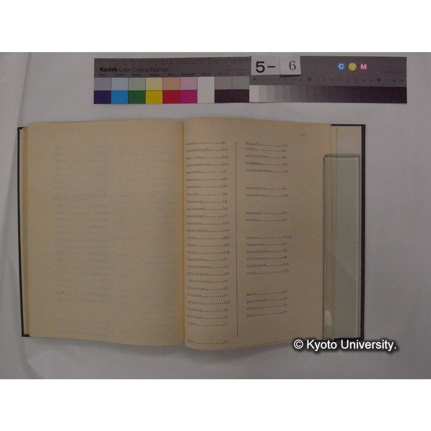 Fresh Water Fishes of Japan / by Denzaburo Miyaji (18)