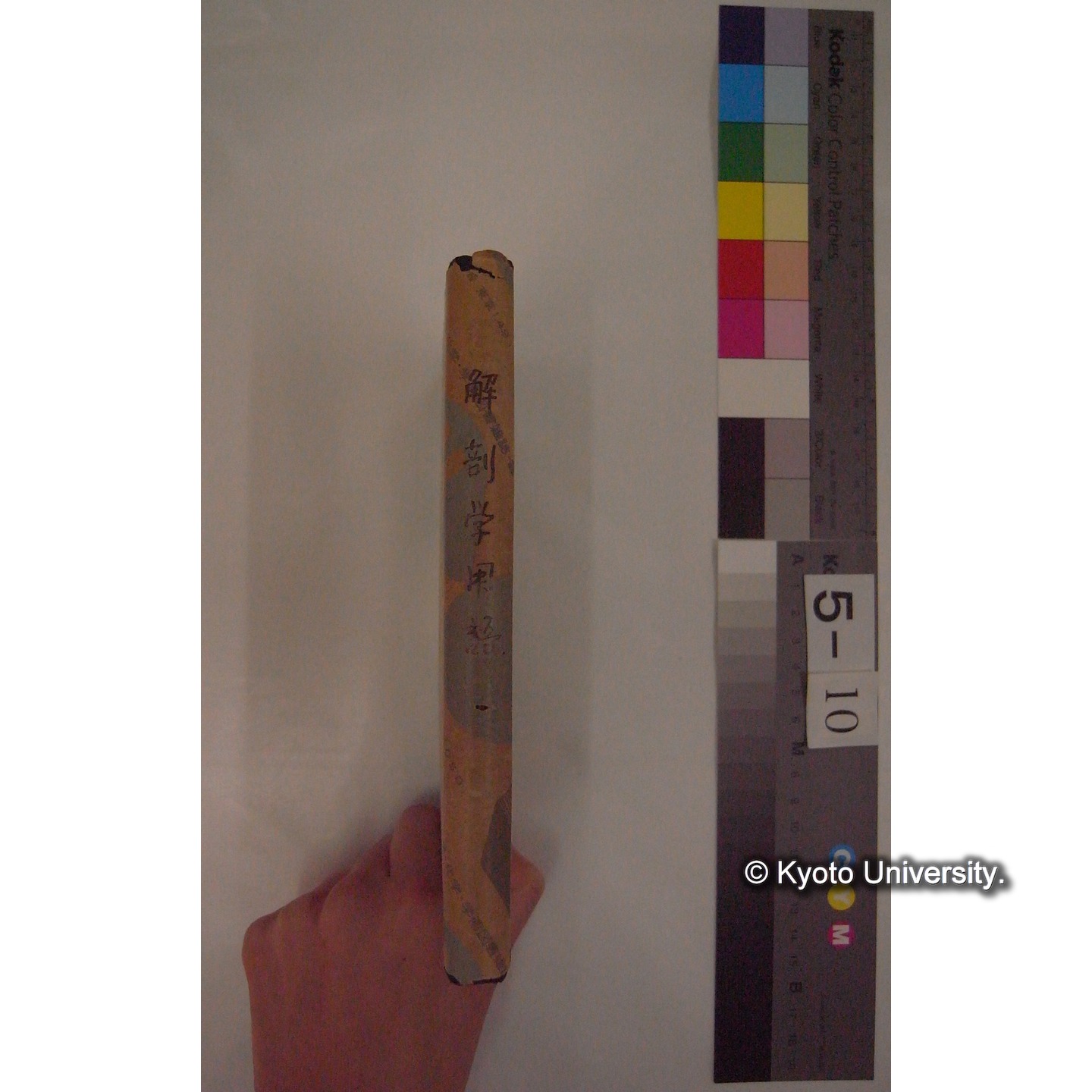 解剖学用語 / 日本解剖学学会 (新版: 7版) (2)